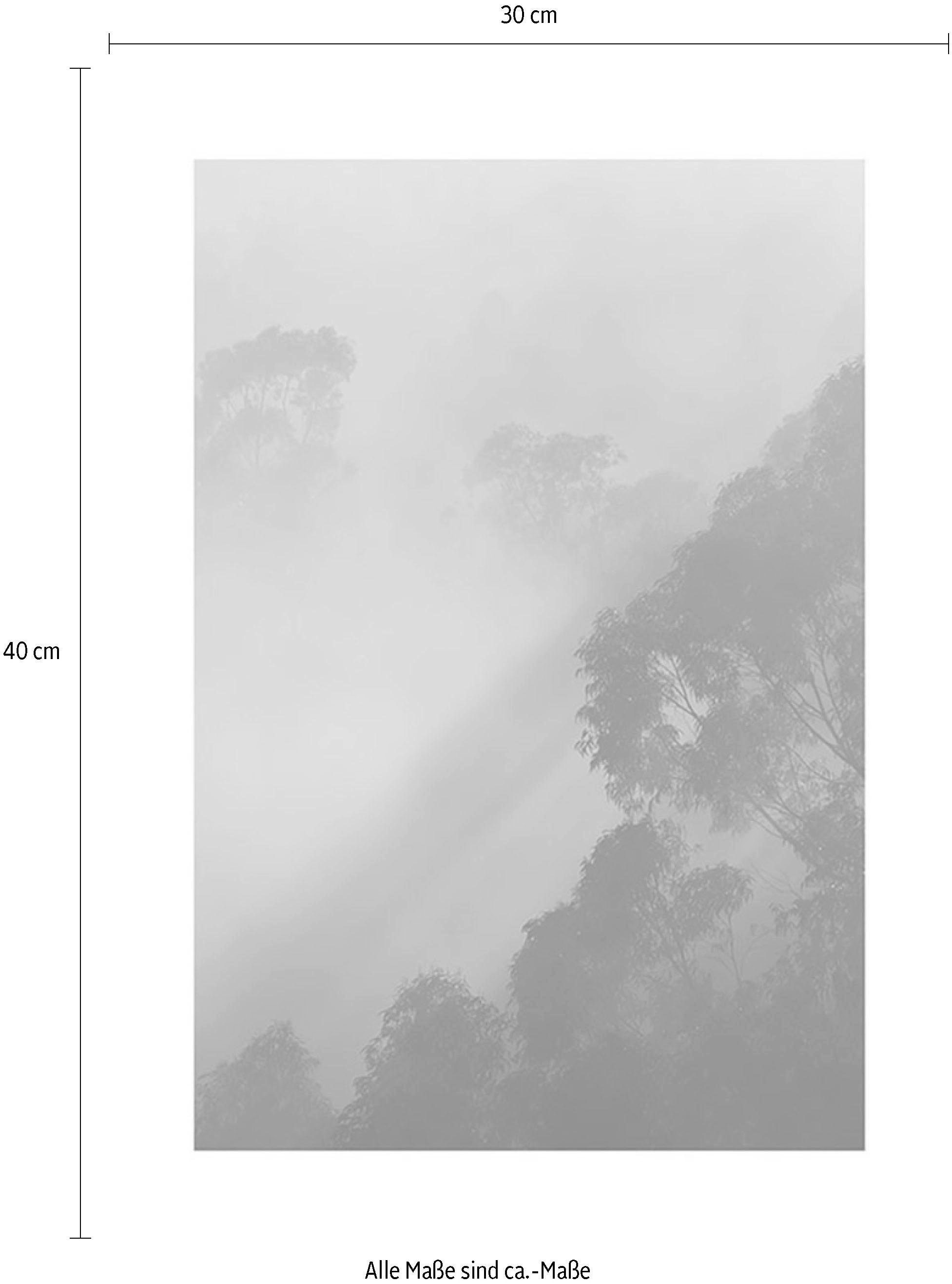 Komar Bild »Golden Light« Natur 1 Stk. tlg. Wandbild zur Dekoration - ohne Rahmen