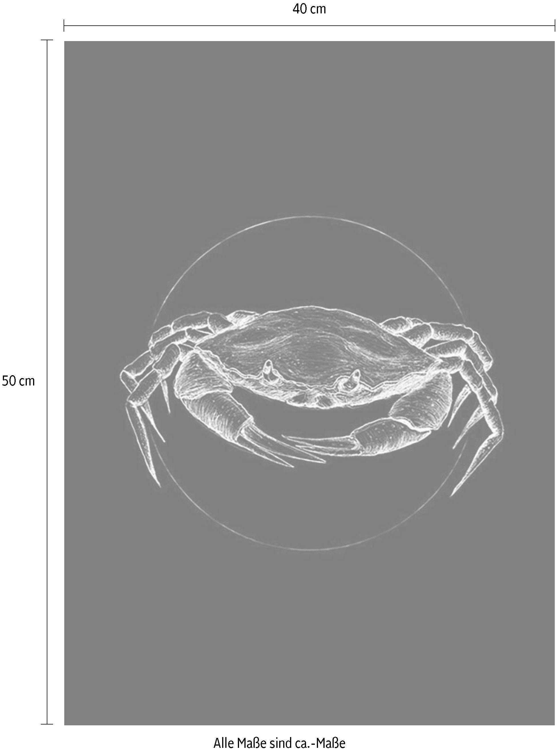 Komar Bild »Crab Black«, Tiere, (1 St.), Wandbild zur Dekoration - ohne Rahmen