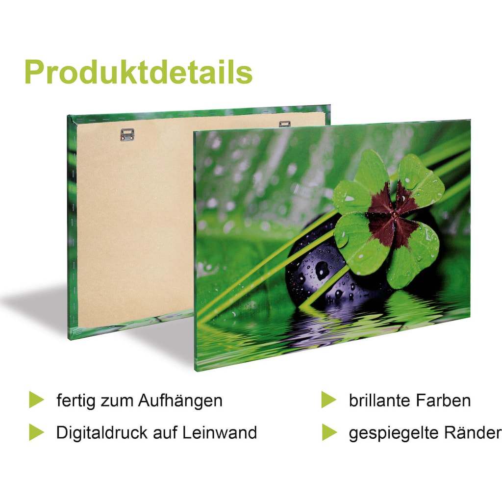 Artland Leinwandbild »Frische Kräuter und Gewürze«, Arrangements, (4 St.)