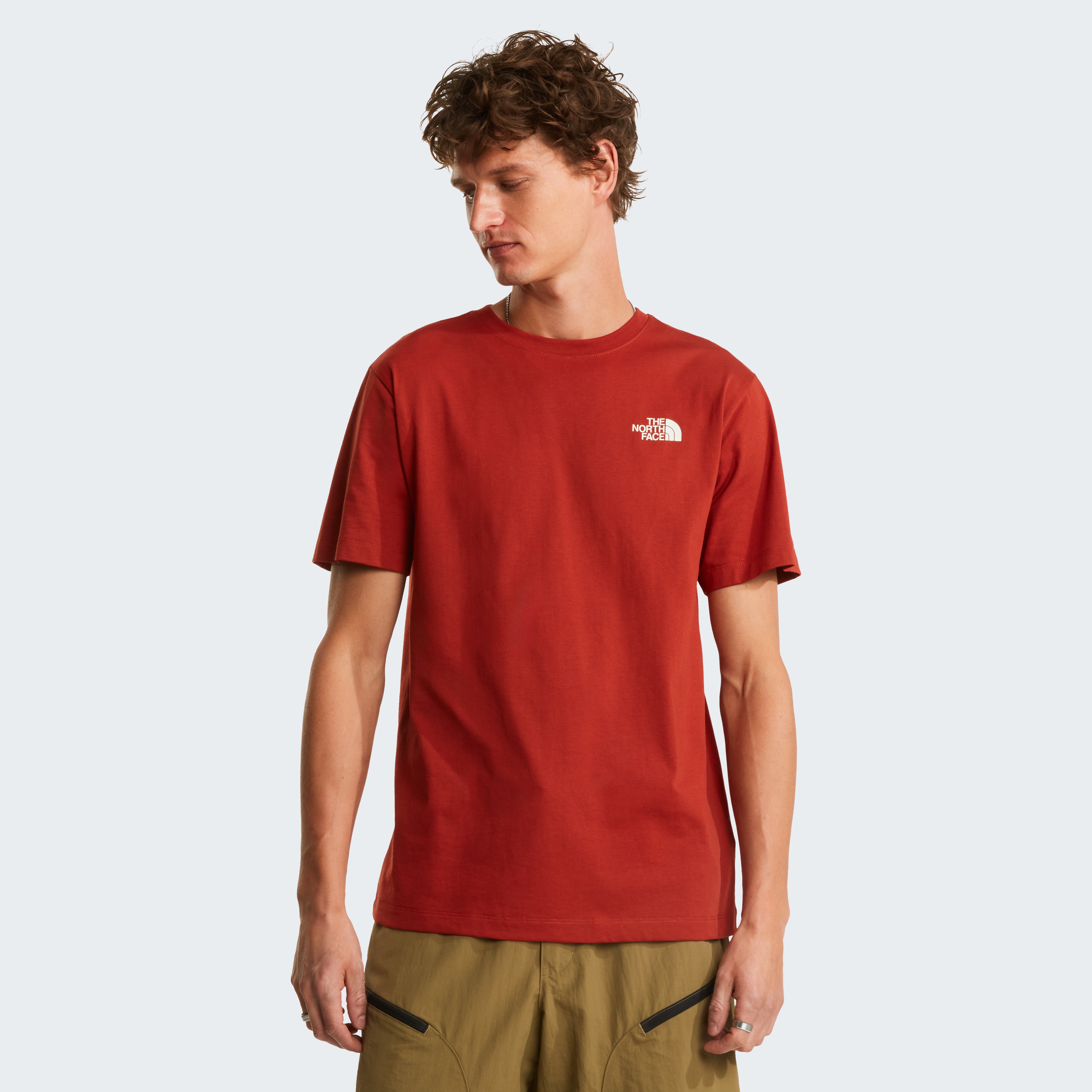 The North Face T-Shirt "M VERTICAL REGULAR SHORT SLEEVE TEE-GRAPHIC" normale Passform, kurze Ärmel, für Sportmode und Outdoormode