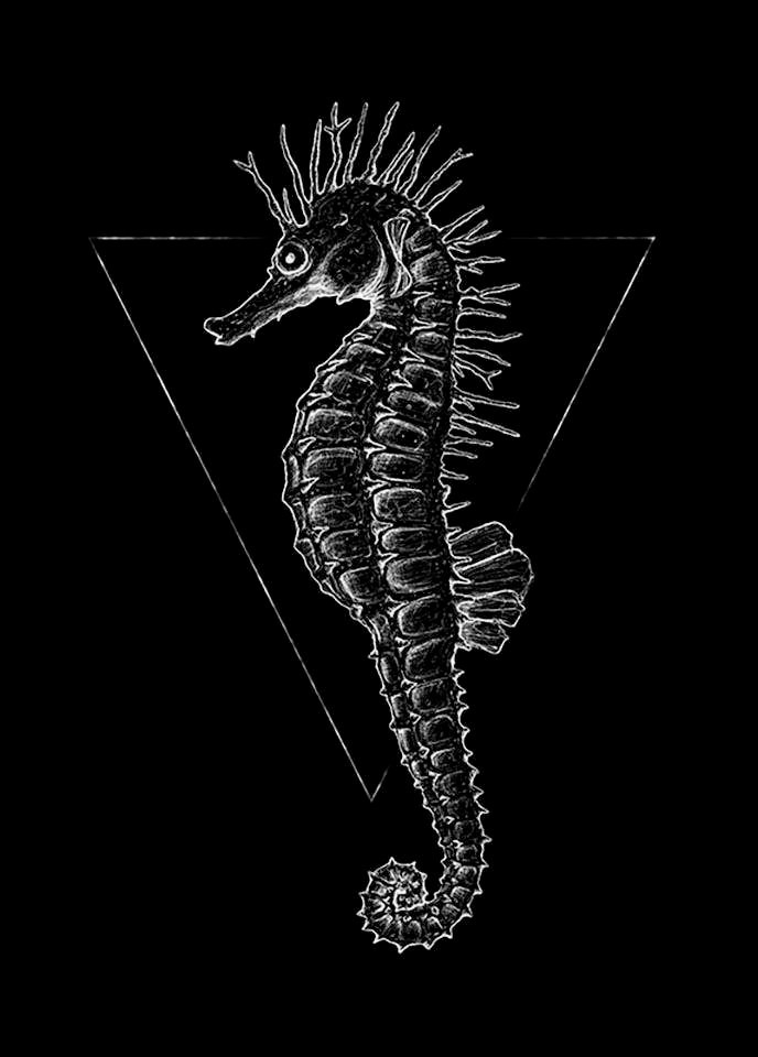 Komar Bild »Sea Horse Black« Tiere 1 Stk. tlg. Wandbild zur Dekoration - ohne Rahmen
