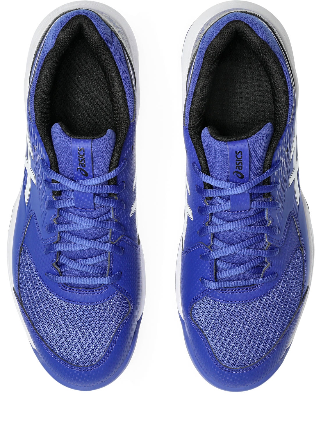 Asics Tennisschuh »GEL-DEDICATE 8 INDOOR«, für Hallenböden