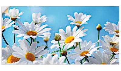 Artland Wandbild »Blumen - Margeriten«, Blumen, (1 St.), in vielen Größen &... kaufen