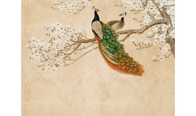 Fototapete »The Wall«, asiatisch-Wald-Motiv, Fototapete Tiere Tapete Vögel Beige Weiß...