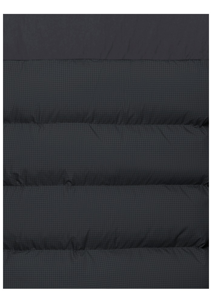 Jack Wolfskin Winterjacke »ICY HOLLOW JKT M« Winterjacke, warm, wind- und wasserabweisend