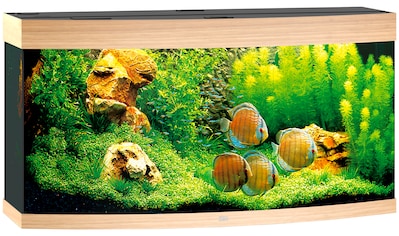 JUWEL AQUARIEN Aquarium »Vision 260«, BxTxH: 121x46x64 cm, 260 l kaufen