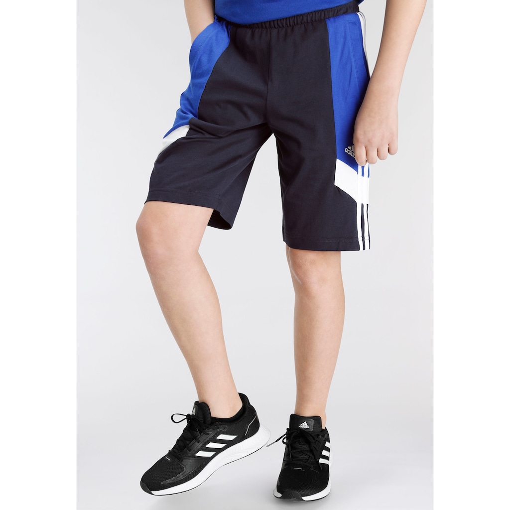 adidas Sportswear Shorts »COLORBLOCK 3-STREIFEN REGULAR FIT«, (1 tlg.)