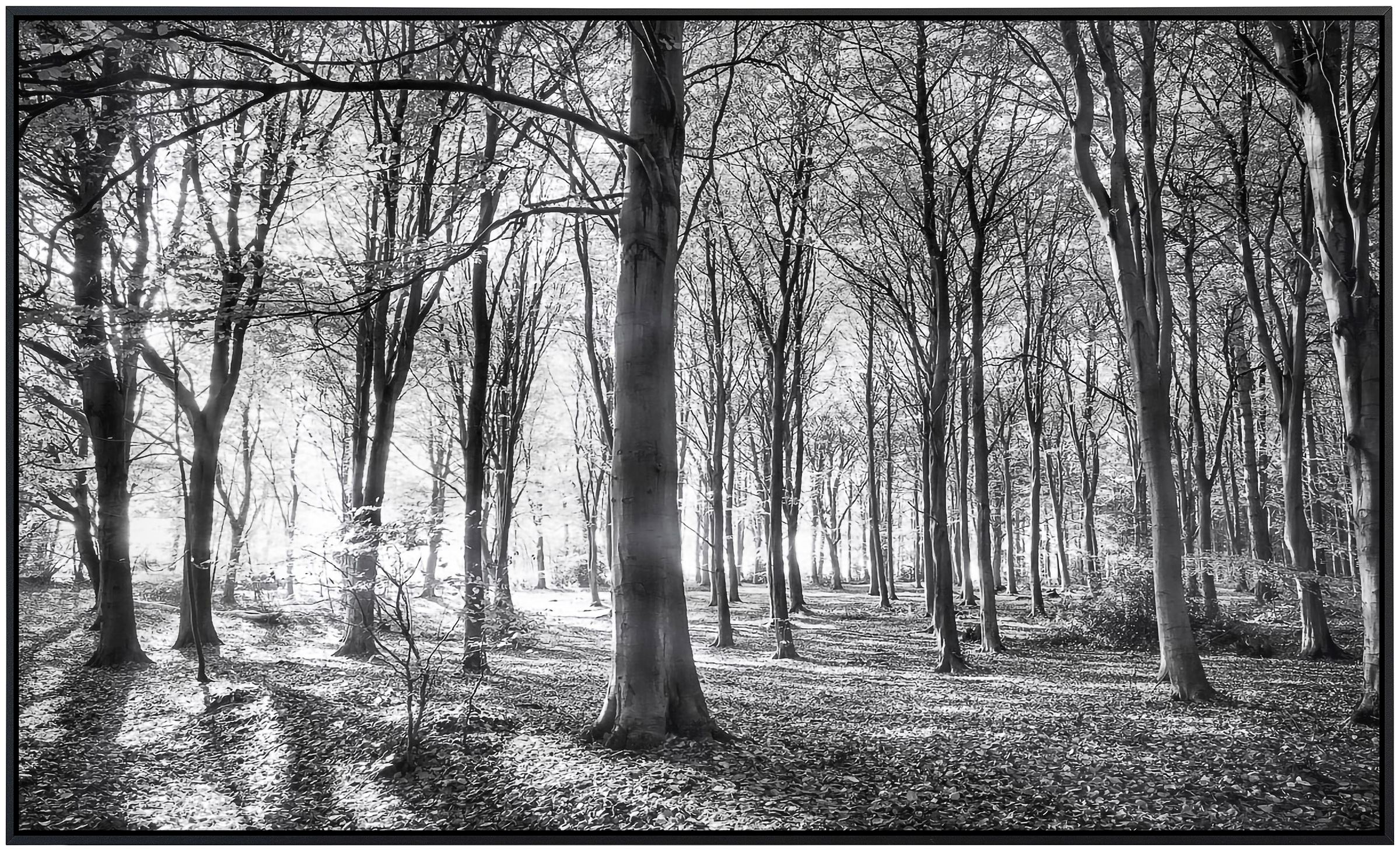 Papermoon Infrarotheizung »Wald Schwarz & Weiß«, sehr angenehme Strahlungswärme
