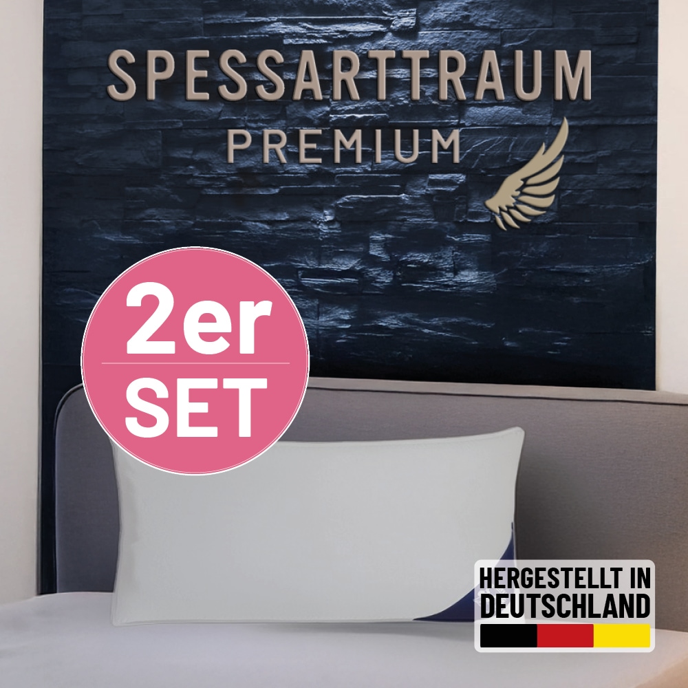 SPESSARTTRAUM Gänsefederkopfkissen "Premium, Kopfkissen 2-tlg. 40x80 oder 8 günstig online kaufen