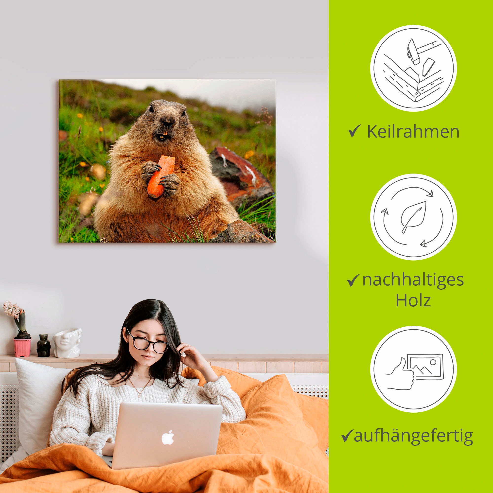 Artland Wandbild »Murmeltier«, Wildtiere, (1 St.), als Leinwandbild, Poster in verschied. Größen
