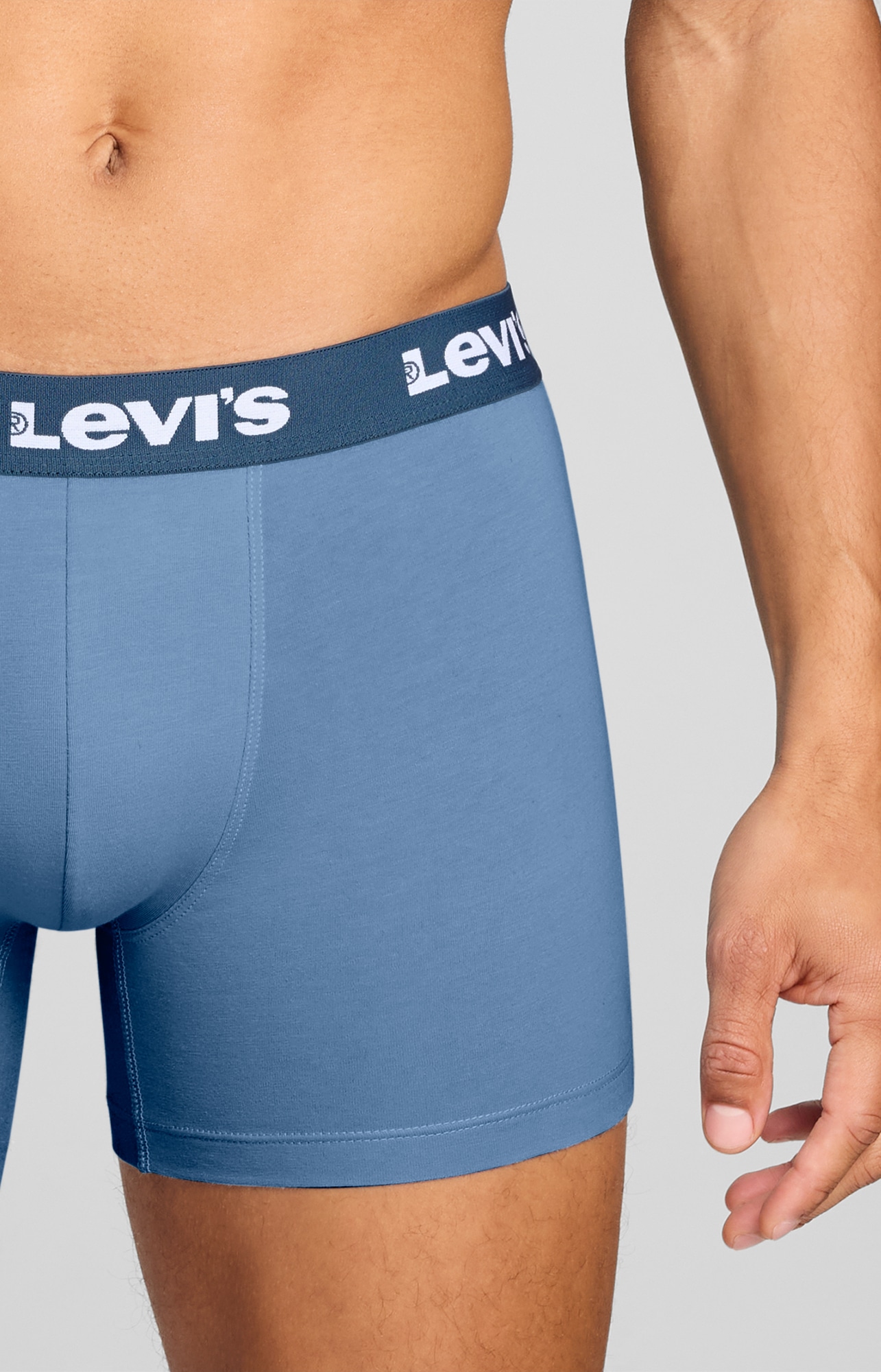 Levi's® Boxer »LEVIS MEN REPEAT LOGO BOXER BRIEF« 2er Pack,  ohne Eingriff, Logobund, elastisch