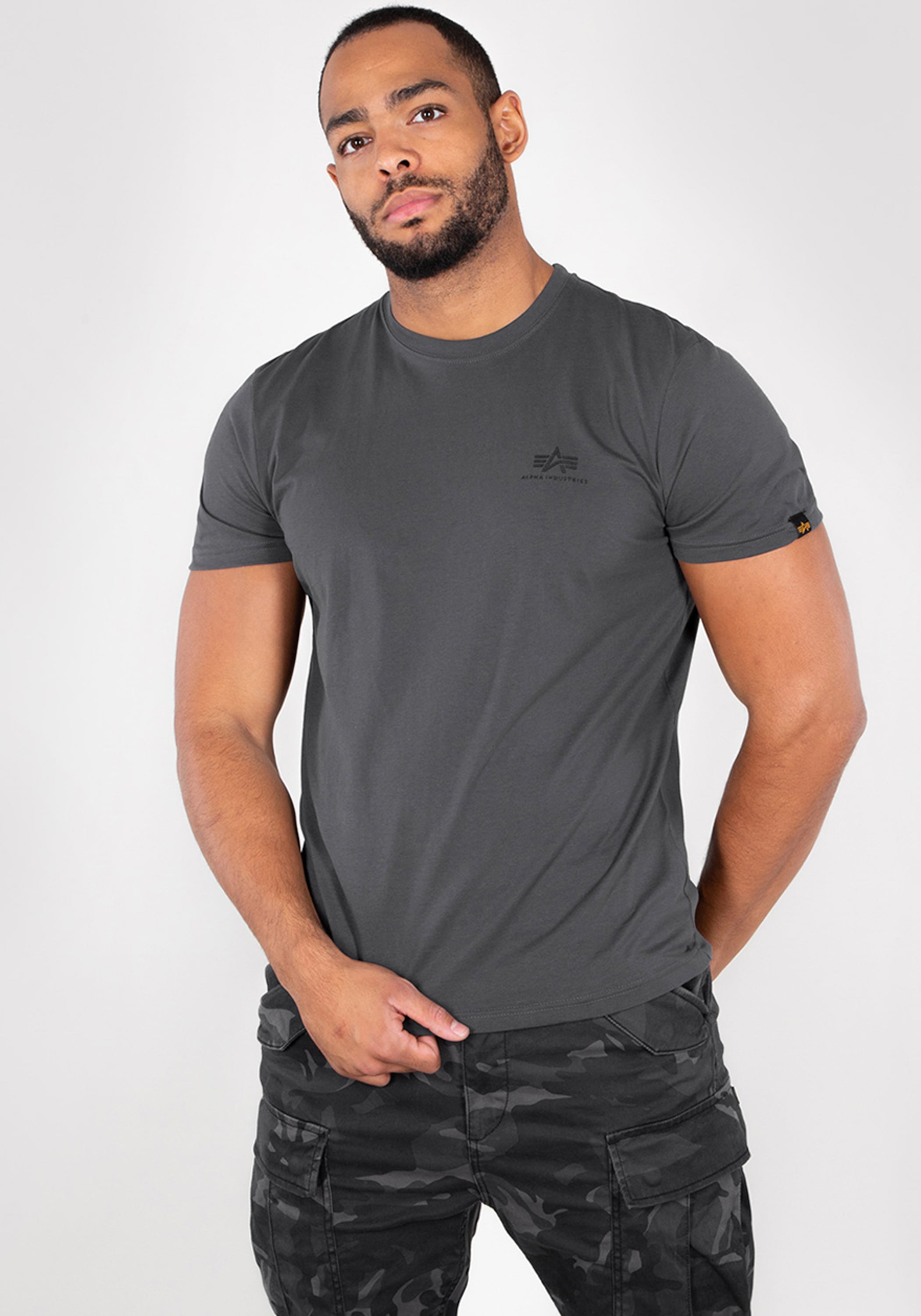 Alpha Industries T-Shirt »Basic T-Shirt SL«