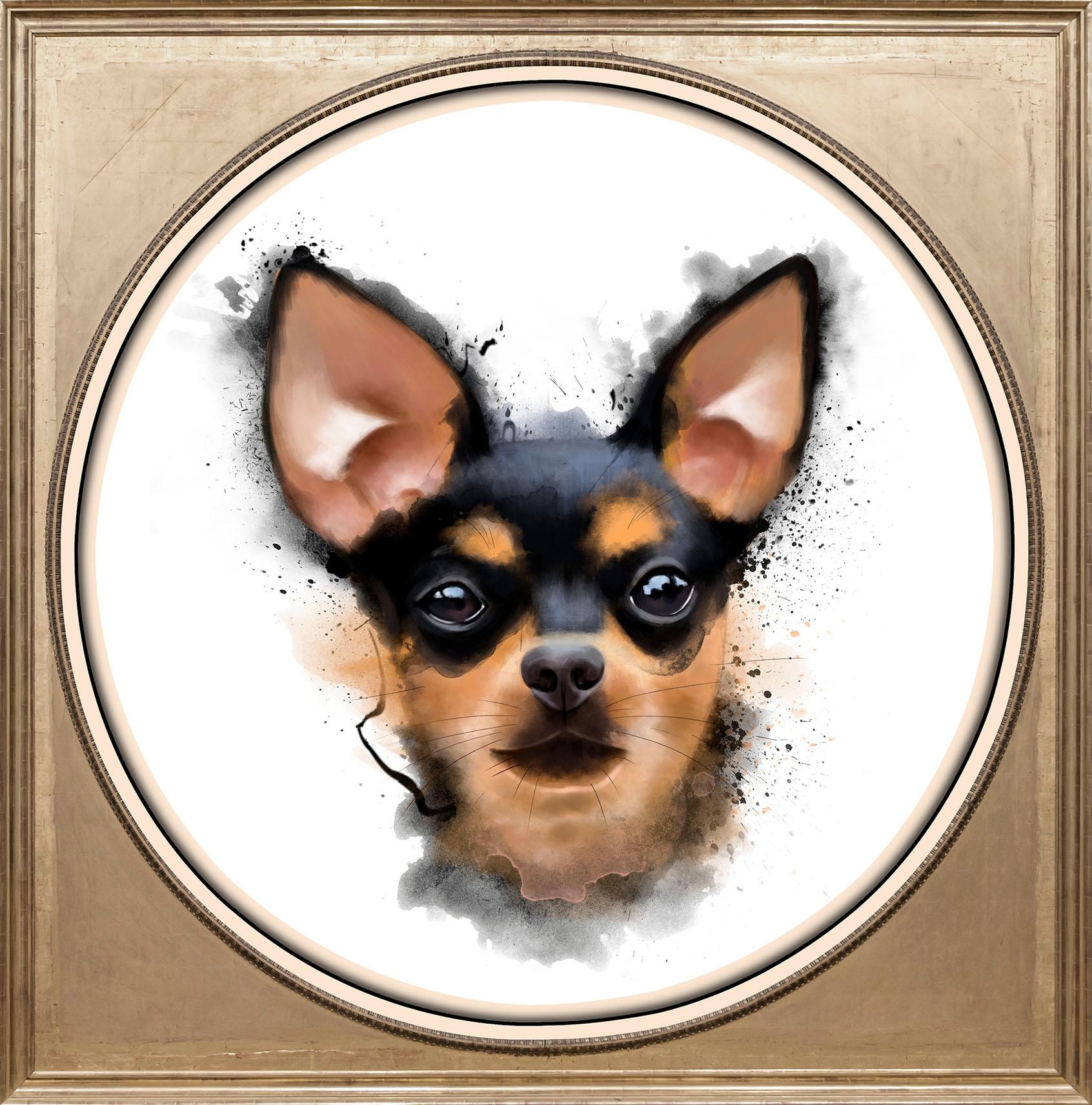queence Acrylglasbild »Chihuahua« kaufen BAUR 