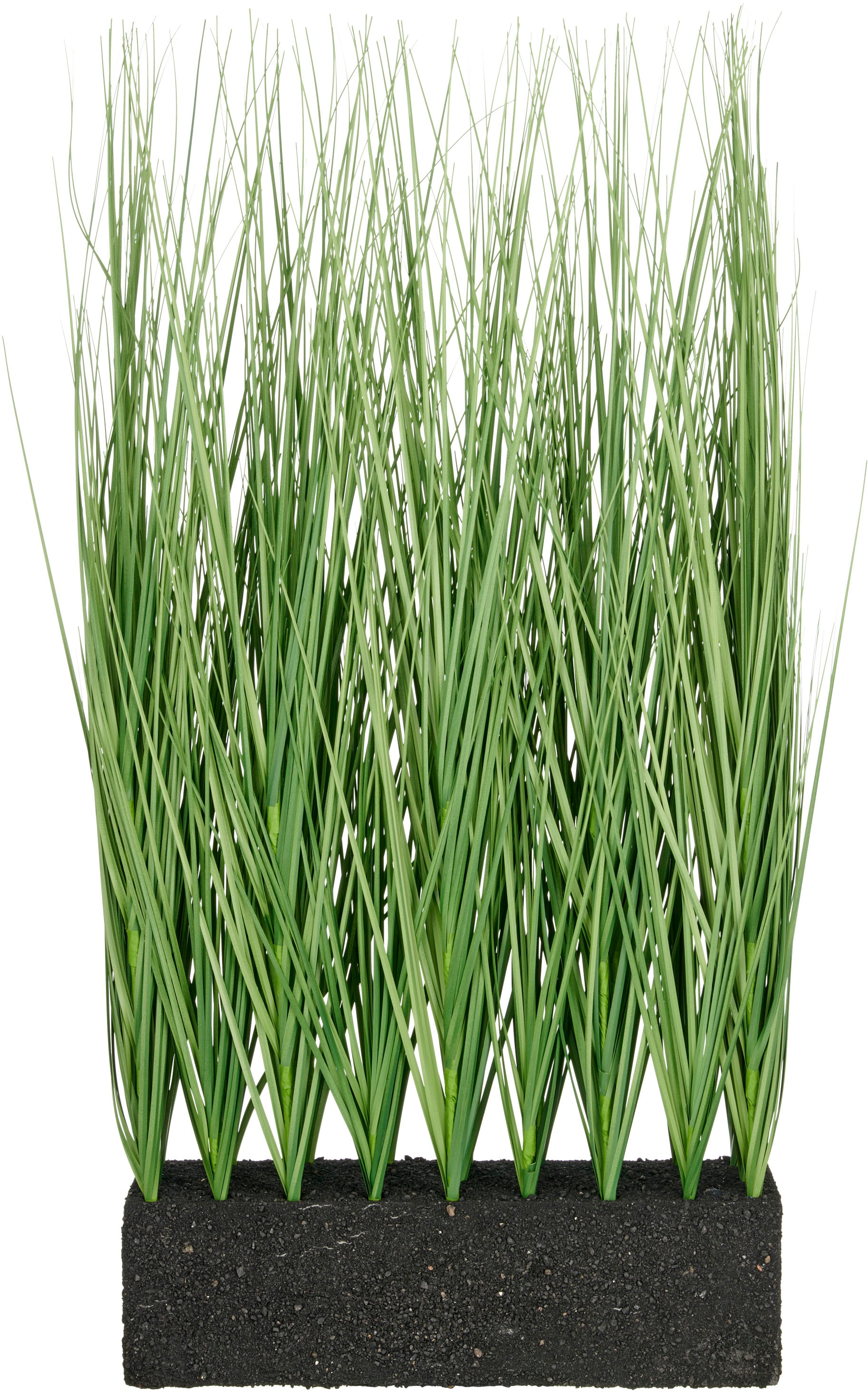Creativ green Kunstgras "Raumteiler Miscanthusgras", in UV-beständiger Ausf günstig online kaufen