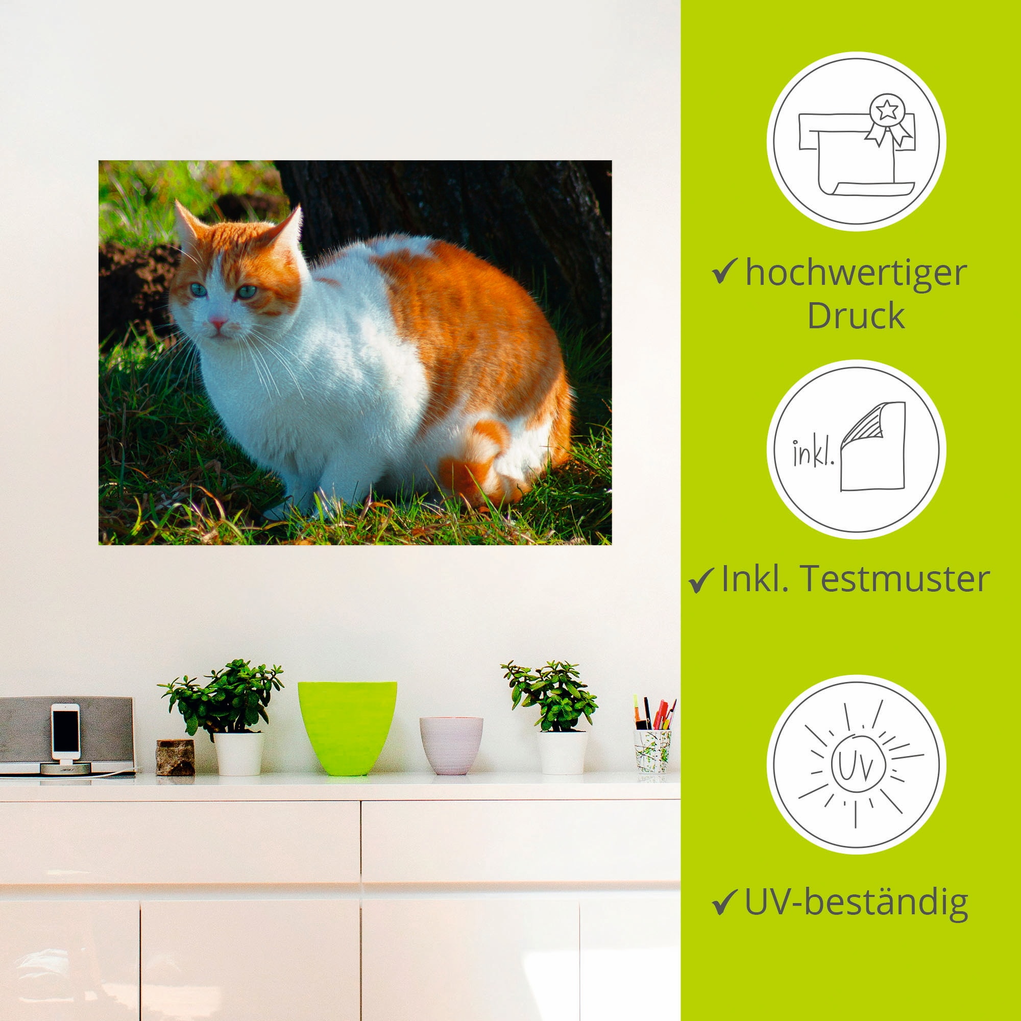 Artland Wandfolie »Entspannte Katze«, Haustiere, (1 St.), selbstklebend