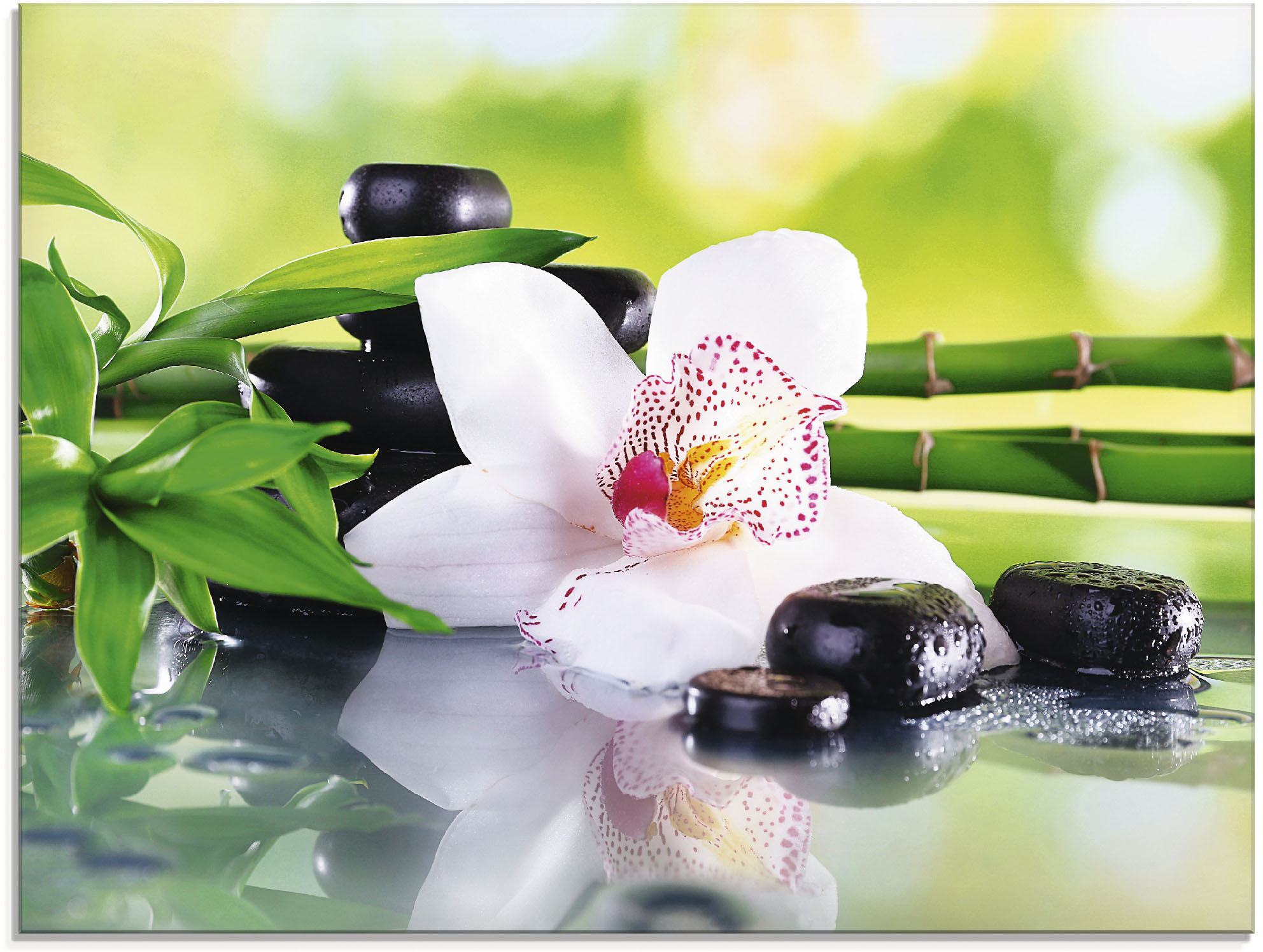 Artland Glasbild "Spa Steine Bambus Zweige Orchidee" Zen 1 Stk. tlg. in verschiedenen Größen