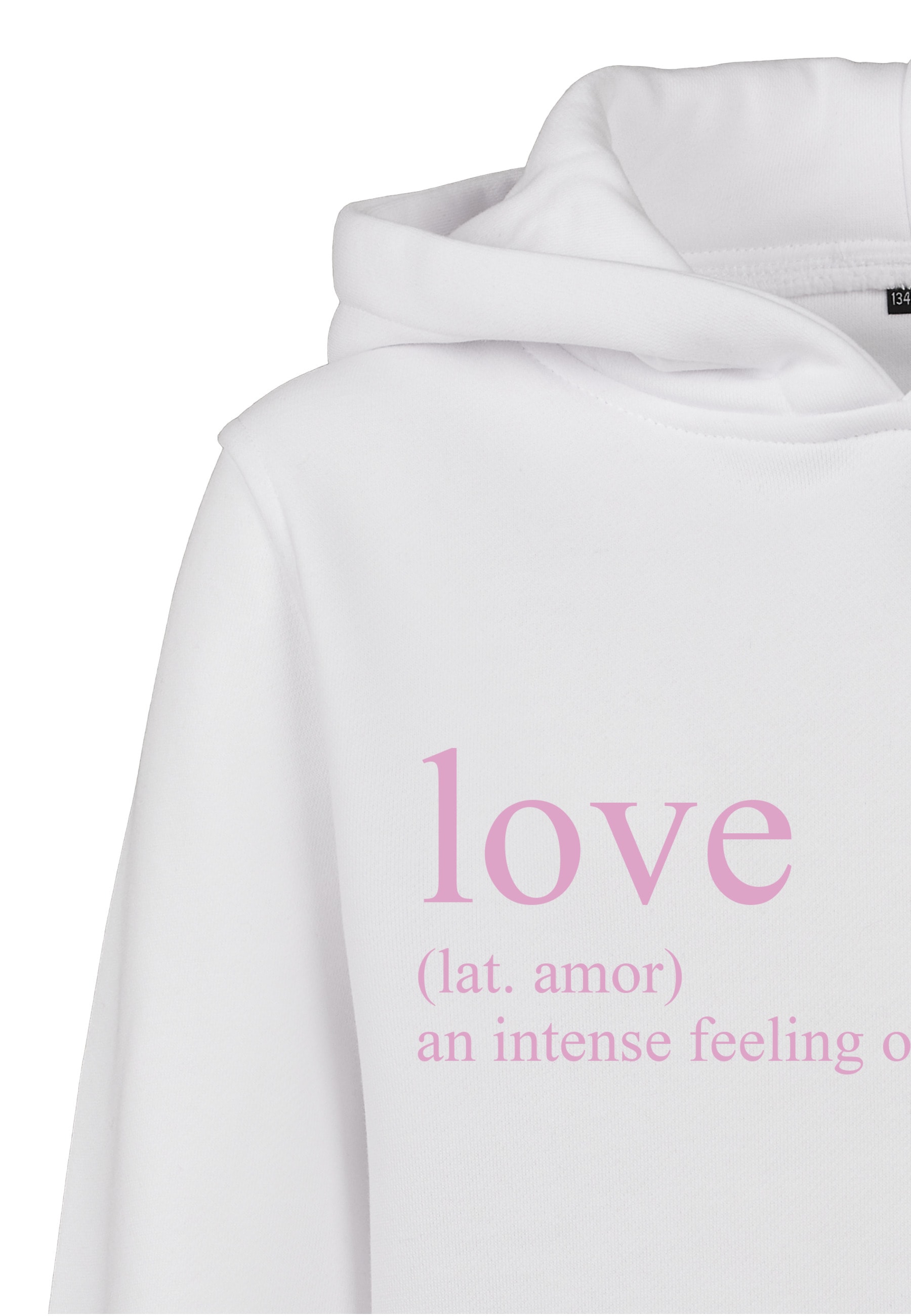 MisterTee Kapuzenpullover »MisterTee Herren Kids Love Definition Hoody« 1 Stk.