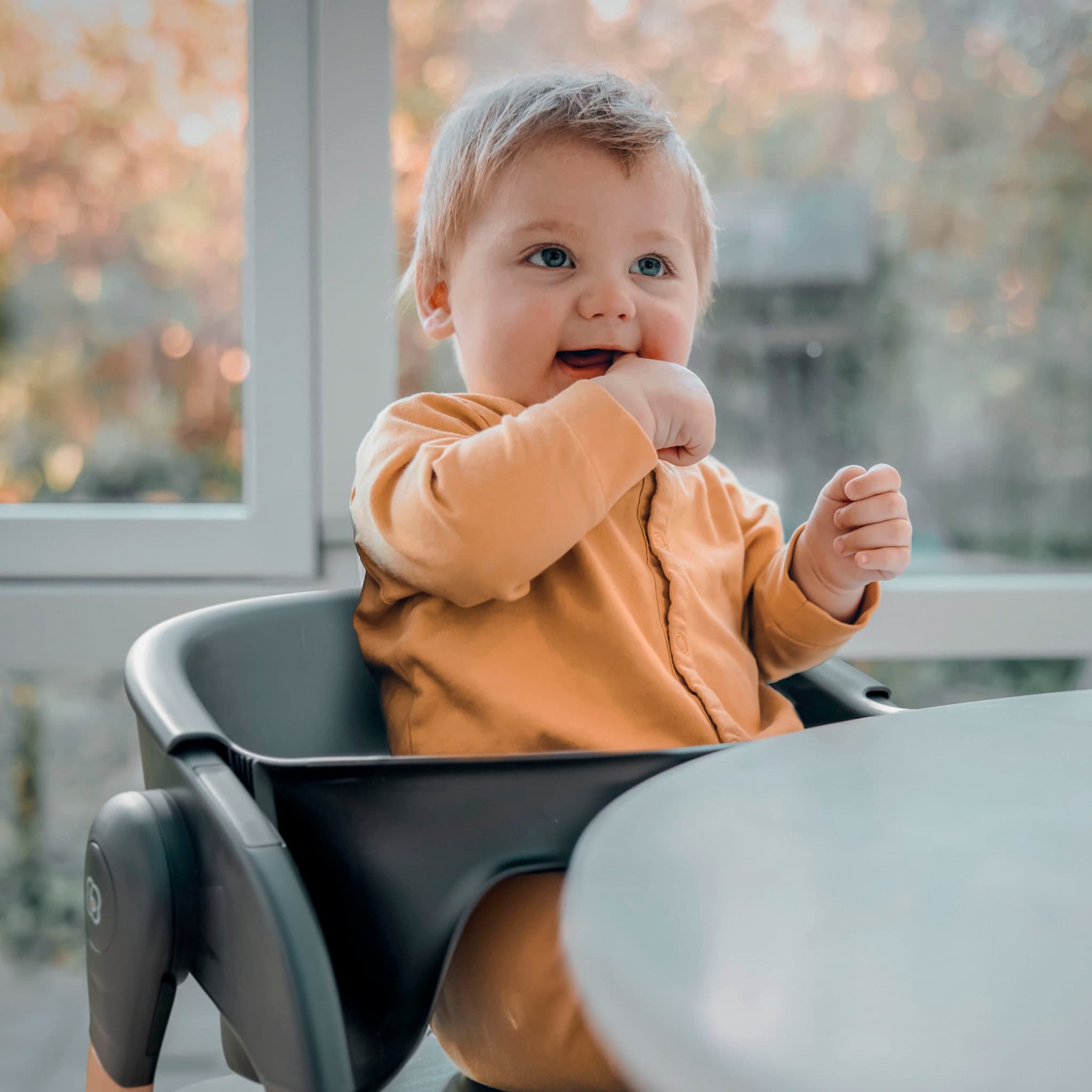 BabyGo Kombihochstuhl »Levels« ()