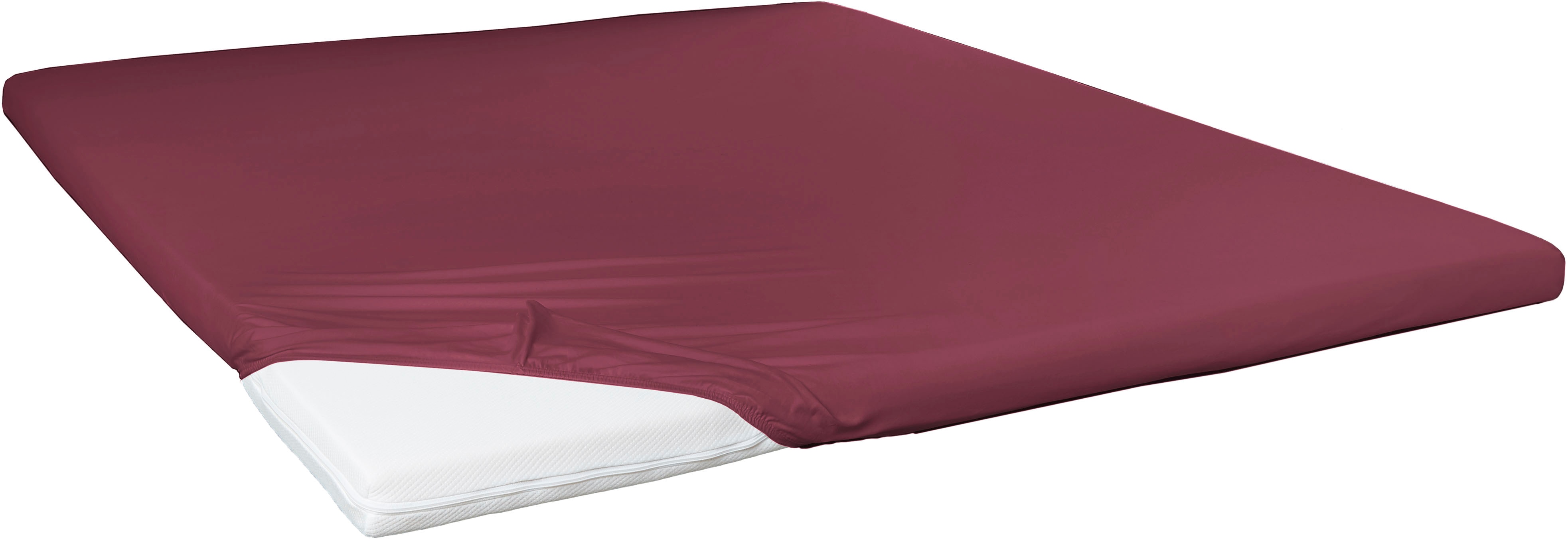 Primera 1100000002199 "Elasthan-Feinjersey Topper" Aus 95% gekämmter Baumwolle und 5% Elastan