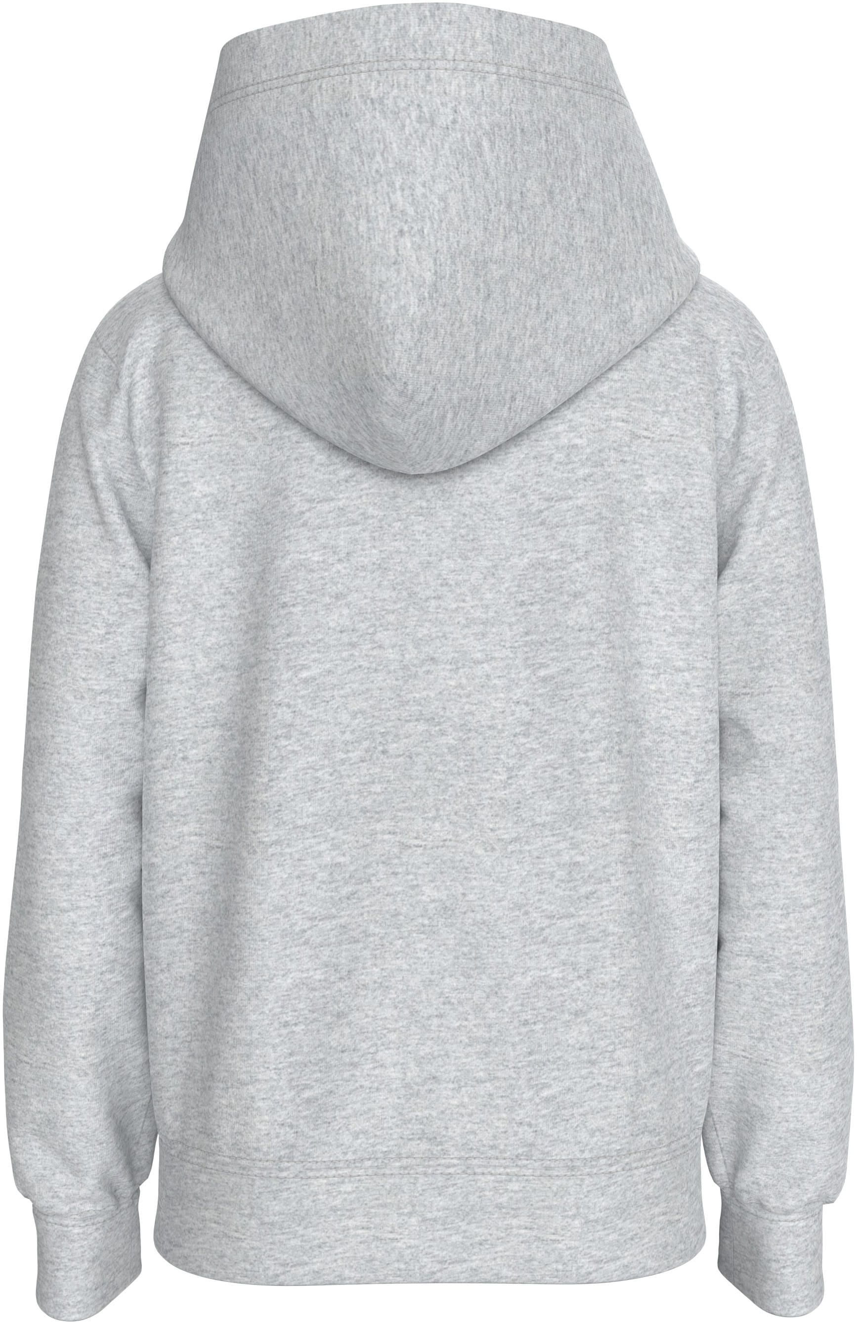 Calvin Klein Jeans Kapuzensweatshirt »Inst. Logo Reg. Terry Hoodie«, für Kinder bis 16 Jahre und mit Logoschriftzug