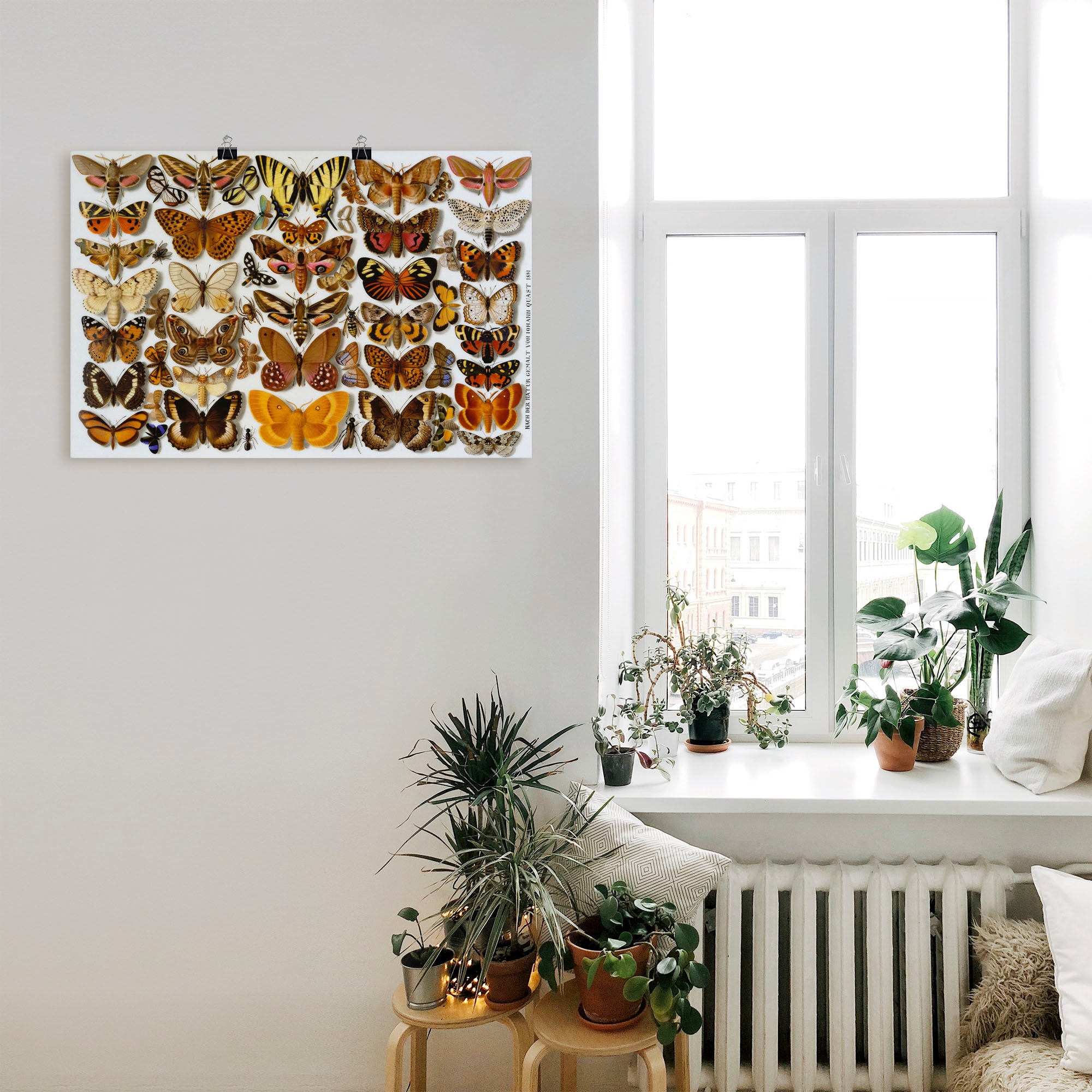 Artland Kunstdruck »Schmetterlinge. Porzellanmalerei. 1881«, Insekten, (1 St.), als Alubild, Leinwandbild, Wandaufkleber oder Poster in versch. Größen