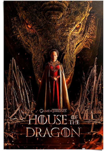 Reinders! Poster »House of the dragon - dragon t...