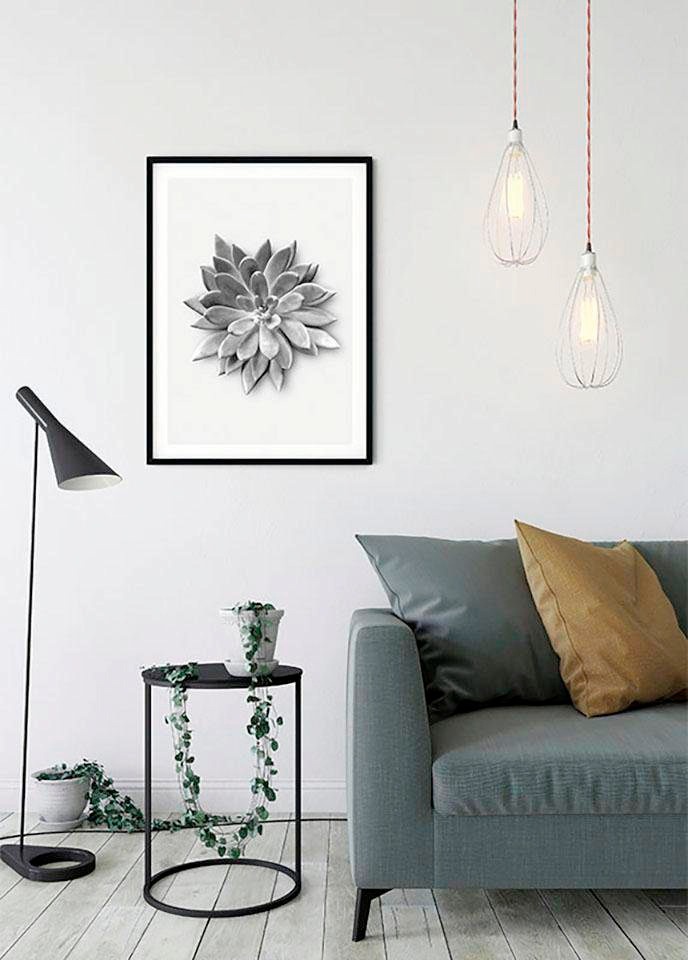 Komar Bild »Succulent Agave«, Pflanzen-Blätter, (1 St.), Wandbild zur Dekoration - ohne Rahmen