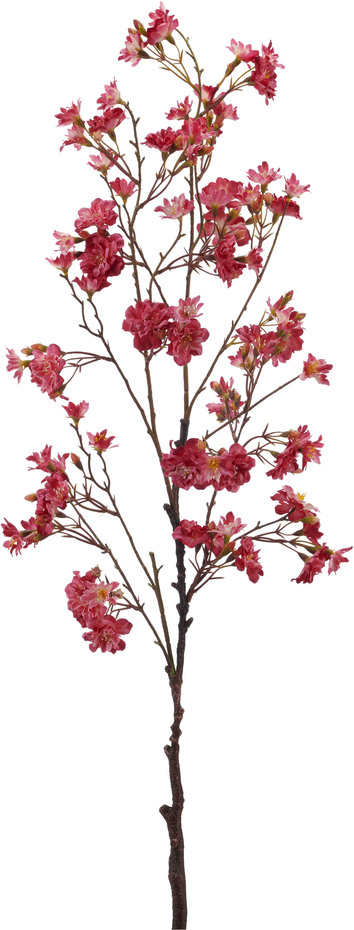 Creativ green Kunstzweig »Kirschblütenzweig« in toller Größe