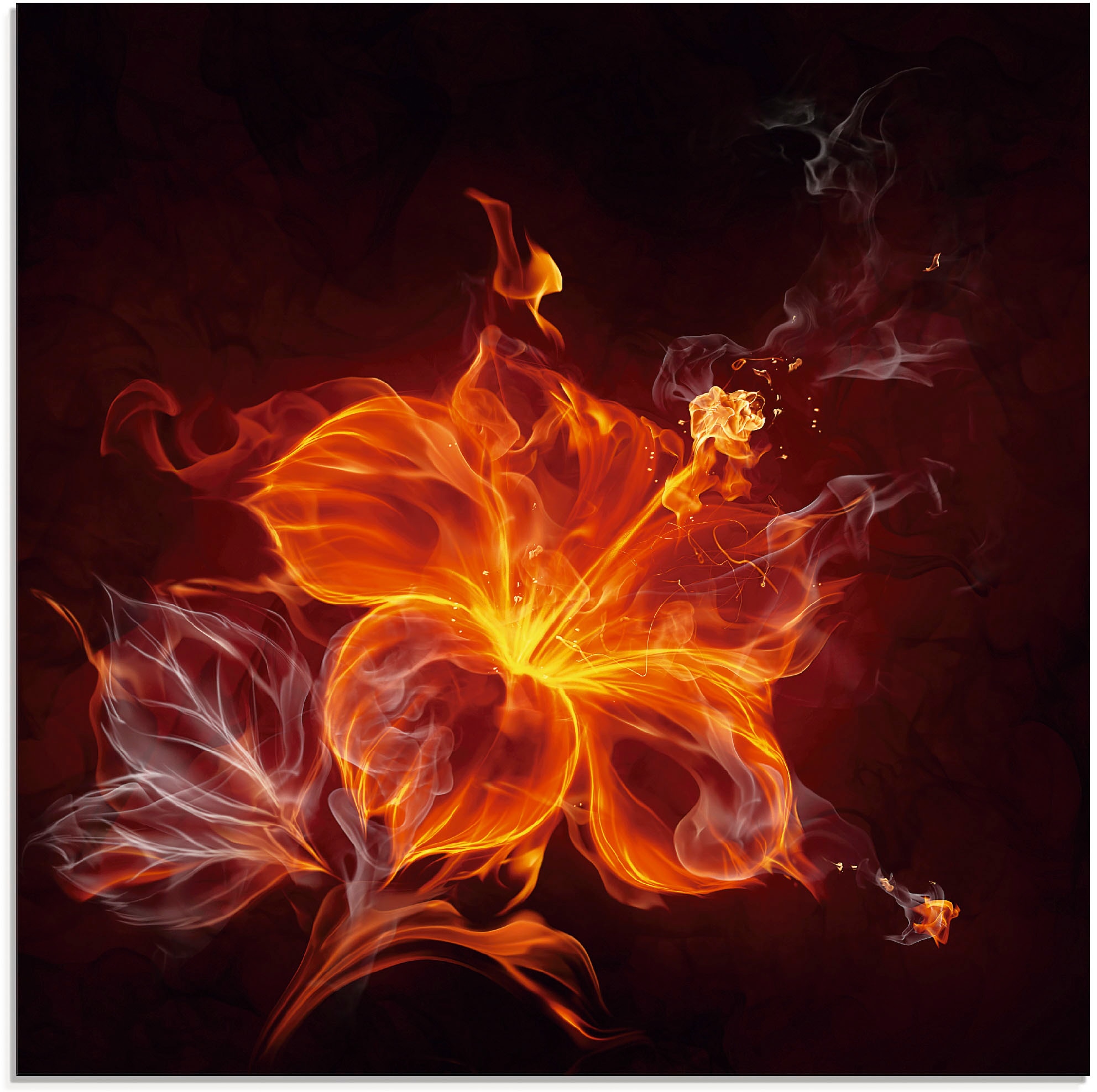Artland Glasbild "Feuerblume", Blumen, (1 St.), in verschiedenen Größen