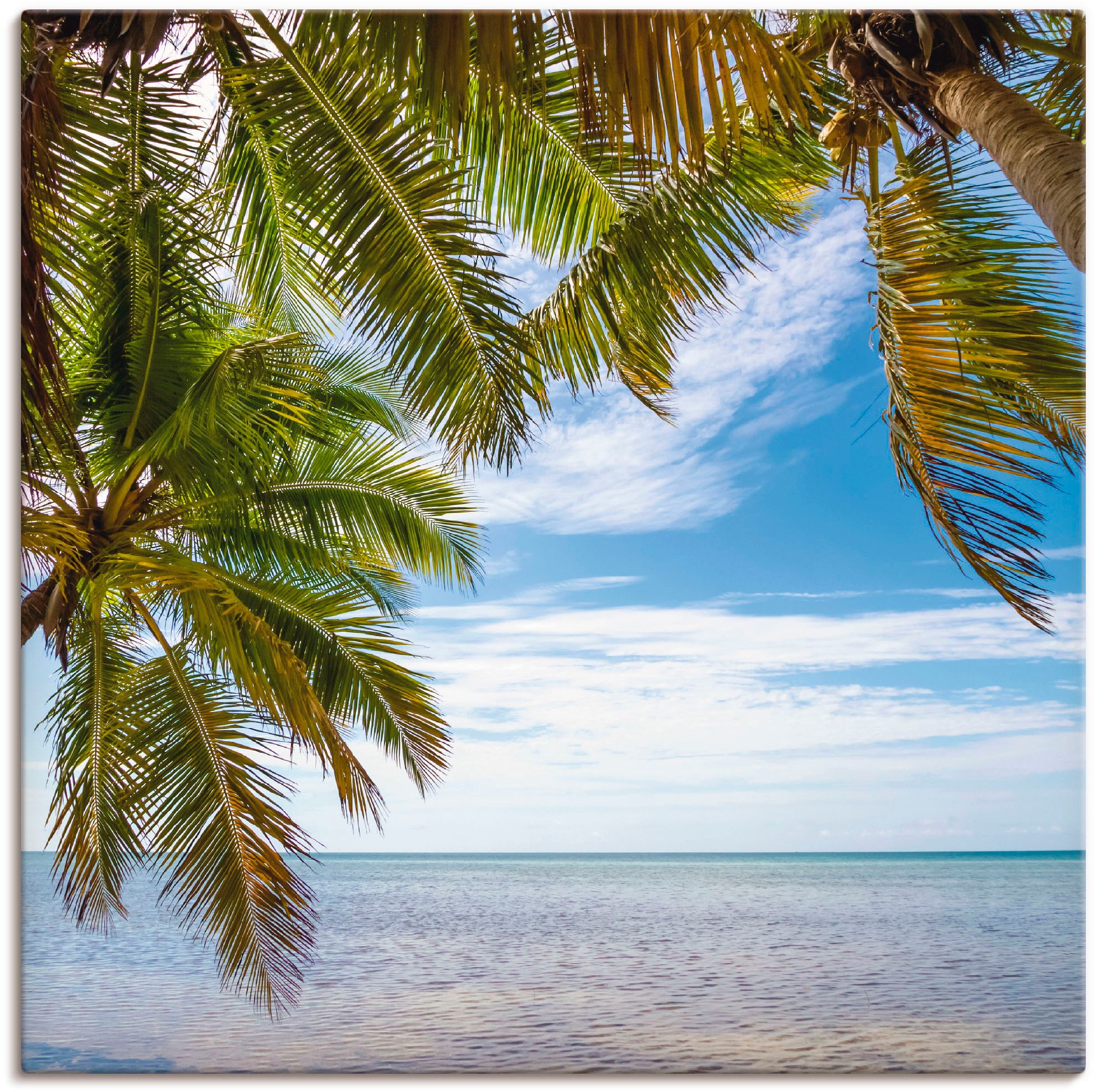 Artland Wandbild »Florida Keys Das Meer«, Bäume, (1 St.), als Alubild,  Leinwandbild, Wandaufkleber oder Poster in versch. Größen bestellen | BAUR