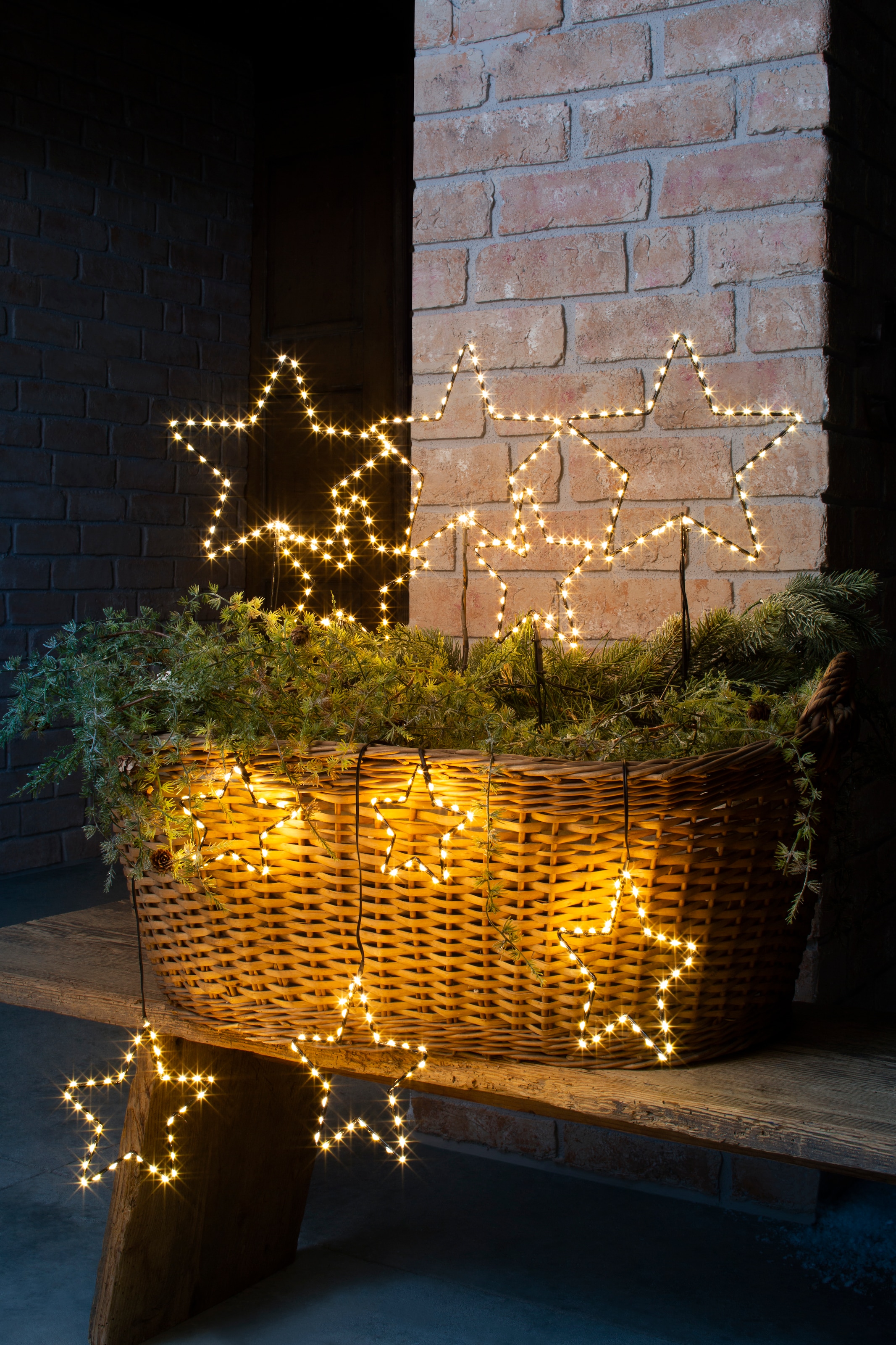AM Design Weihnachtsstern, Stern, | bestellen aussen LED BAUR Weihnachtsdeko Balkonkastenstecker