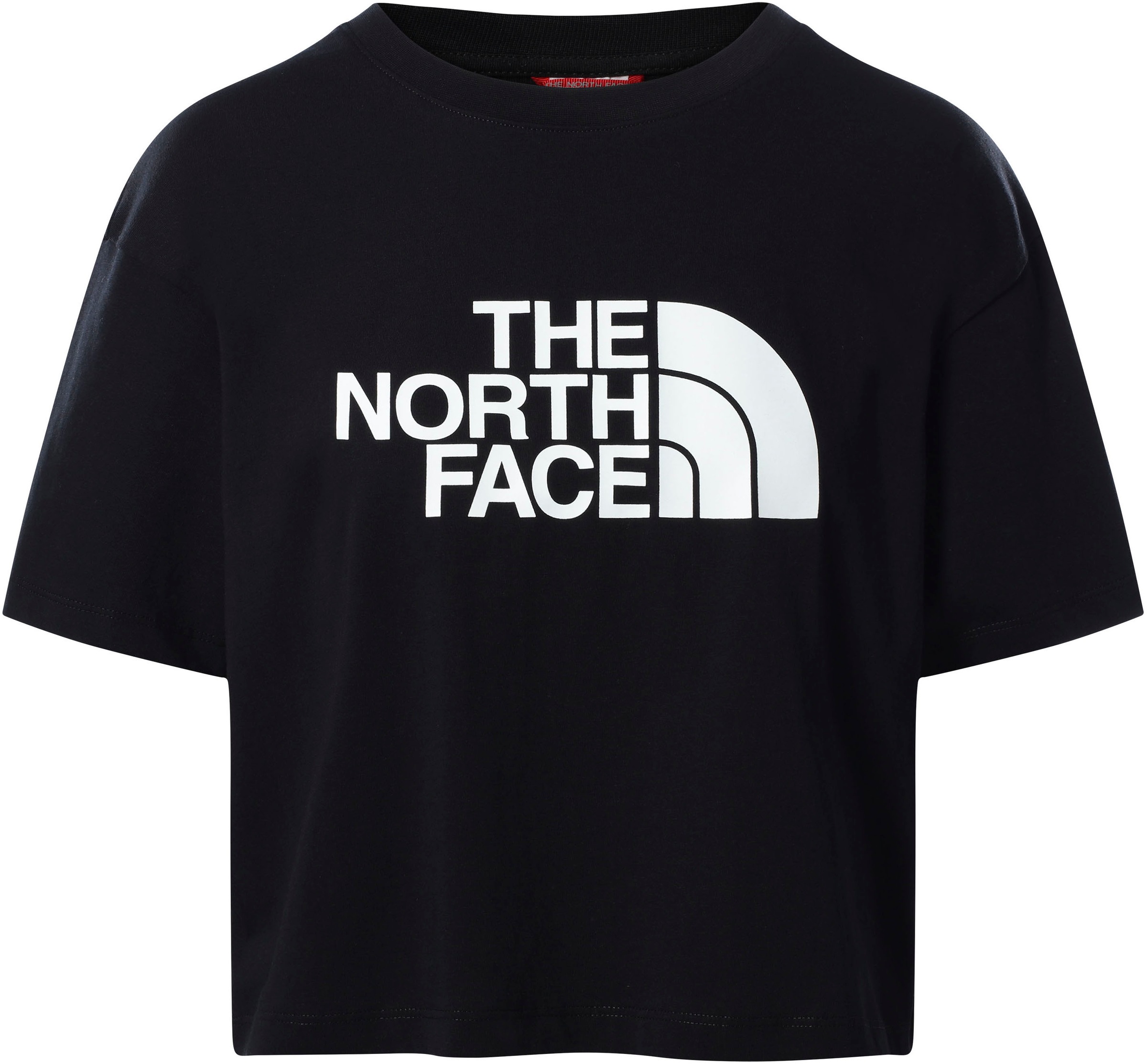 The North Face 2023 Men's Box NSE Drop Shoulder Tee Shirt
