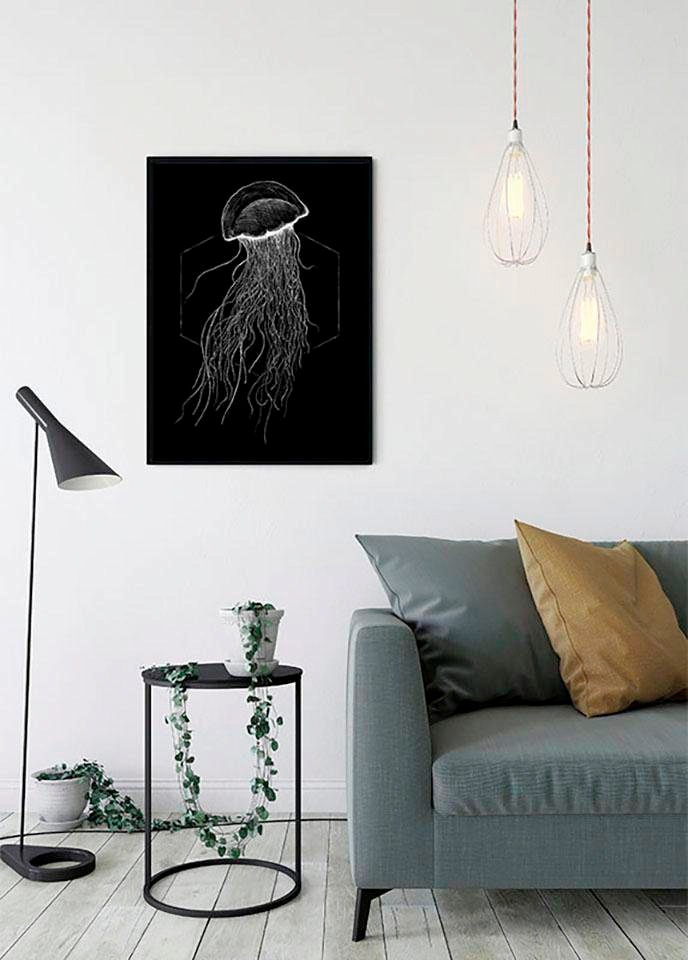 Komar Bild »Jellyfish Black«, Tiere, (1 St.), Wandbild zur Dekoration - ohne Rahmen