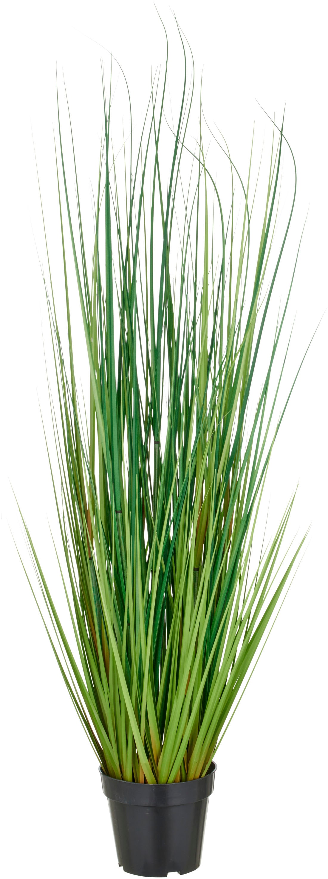 Creativ green Kunstgras "Grasbusch Miscanthus" mit naturgetreuen Grashalmen günstig online kaufen