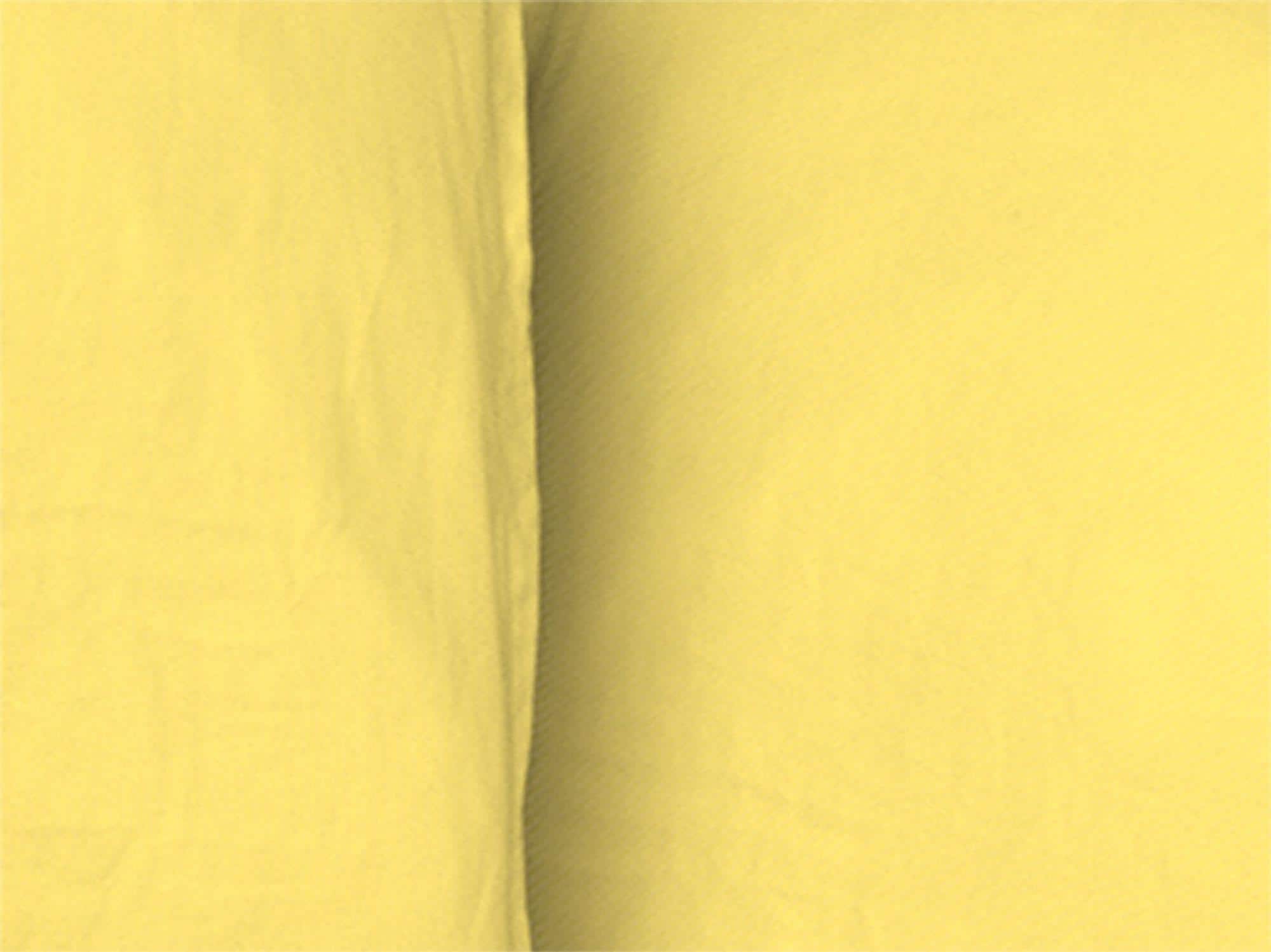 Adam Bettwäsche »Uni Collection light« 2 Stk. tlg. aus 100 % Bio-Baumwolle, 2 teilig - Bettwäsche Set