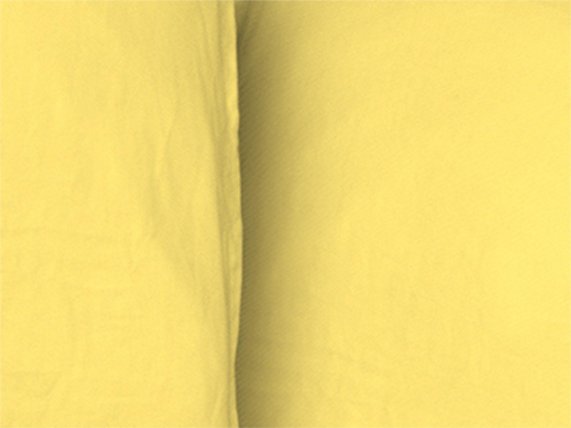 Adam Bettwäsche "Uni Collection light" 2 Stk. tlg. aus 100 % Bio-Baumwolle, günstig online kaufen
