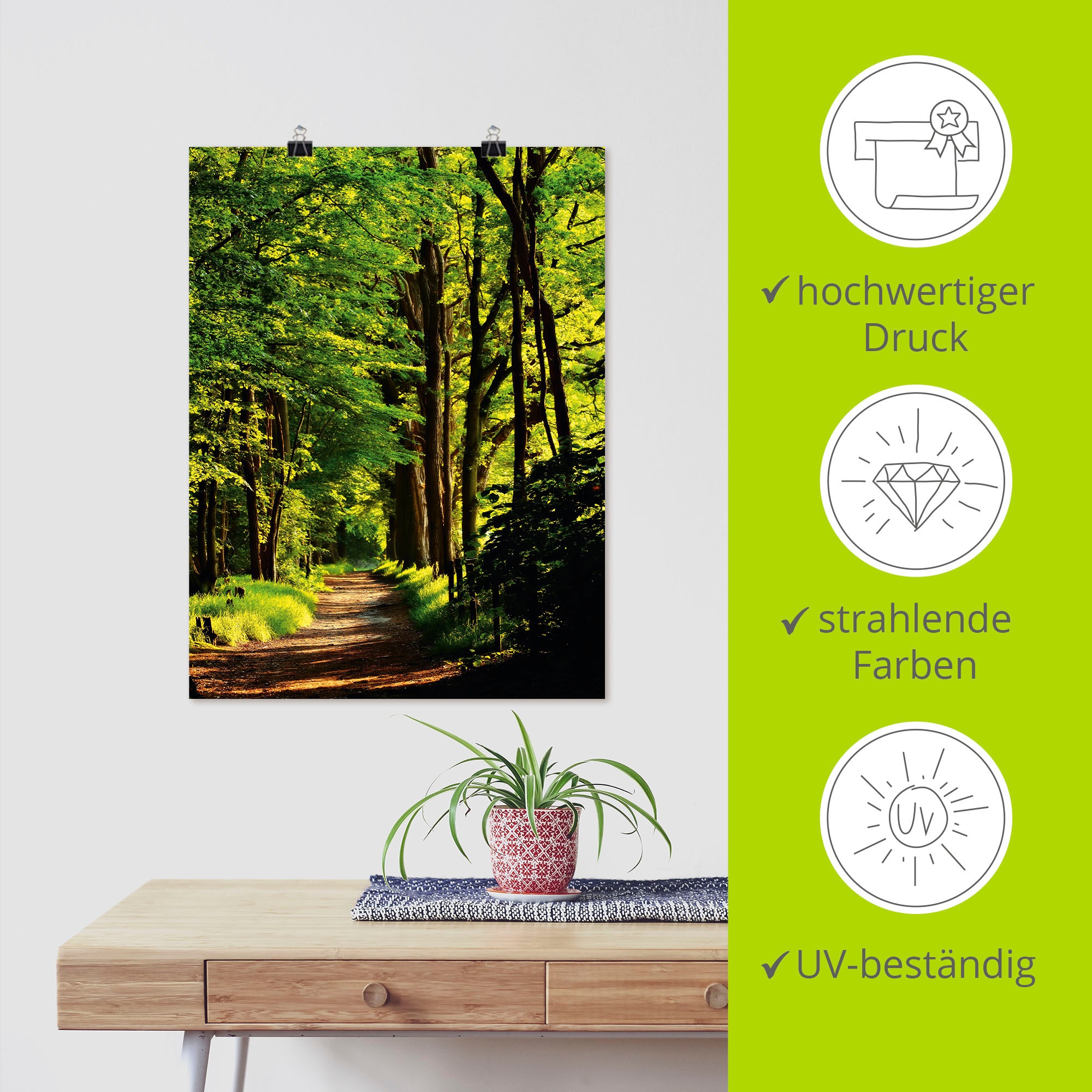 Artland Wandbild »Weg im Wald«, Wald, (1 St.), als Alubild, Outdoorbild, Leinwandbild, Poster in verschied. Größen