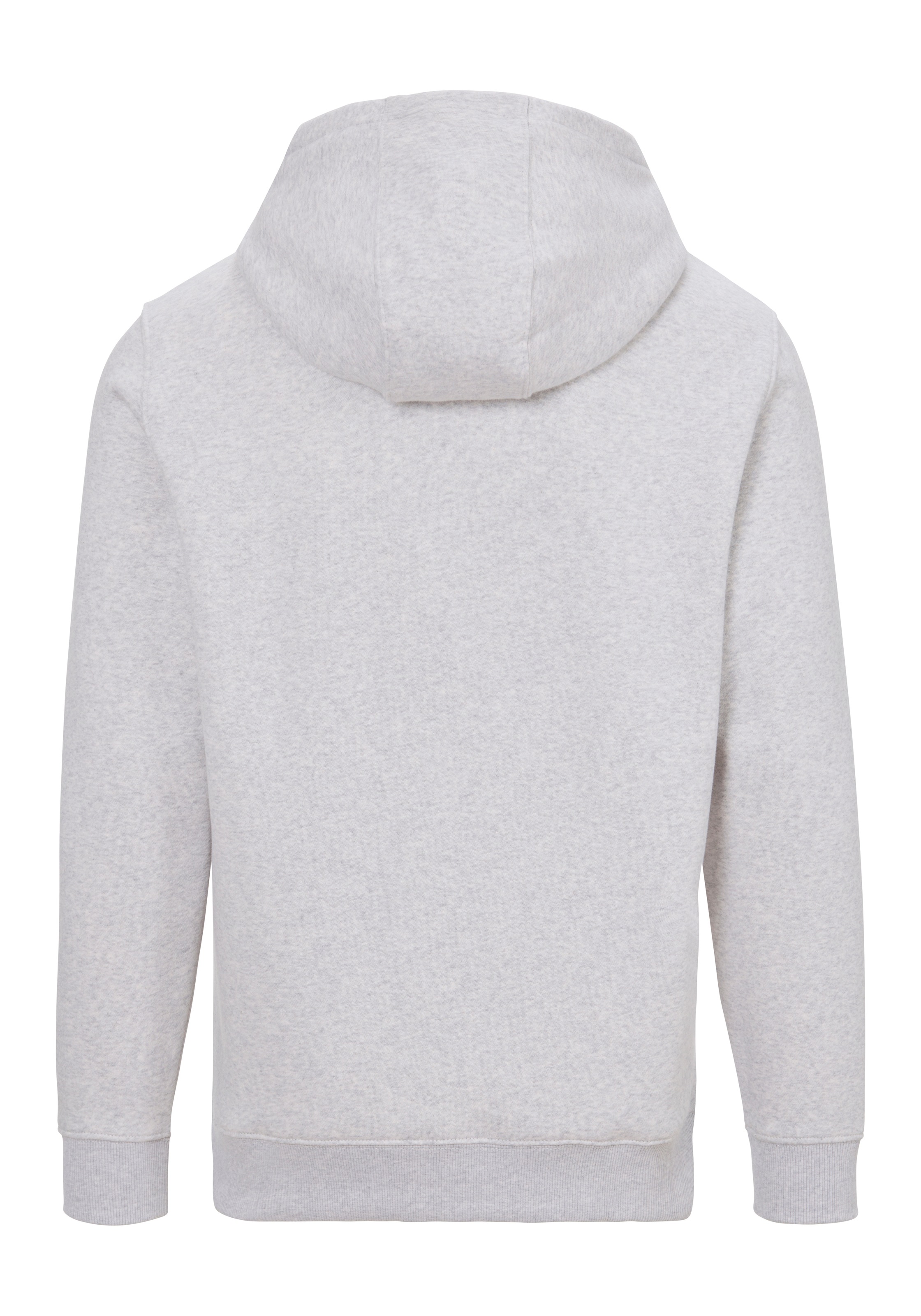 Tommy Jeans Sweatshirt "TJM REG S FLAG HOODIE", mit bestickten Markenlogo a günstig online kaufen