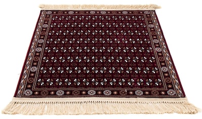 morgenland Orientteppich »Afghan Mauri«, quadratisch, 7 mm Höhe kaufen