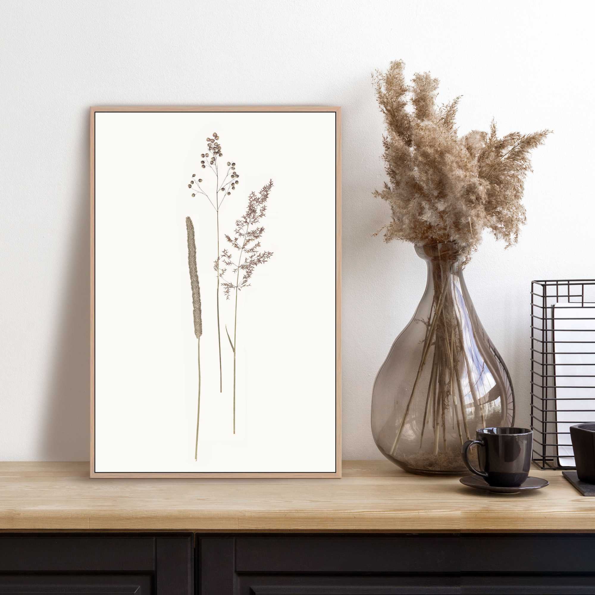 Reinders! Bild mit Rahmen »Dried Flowers«