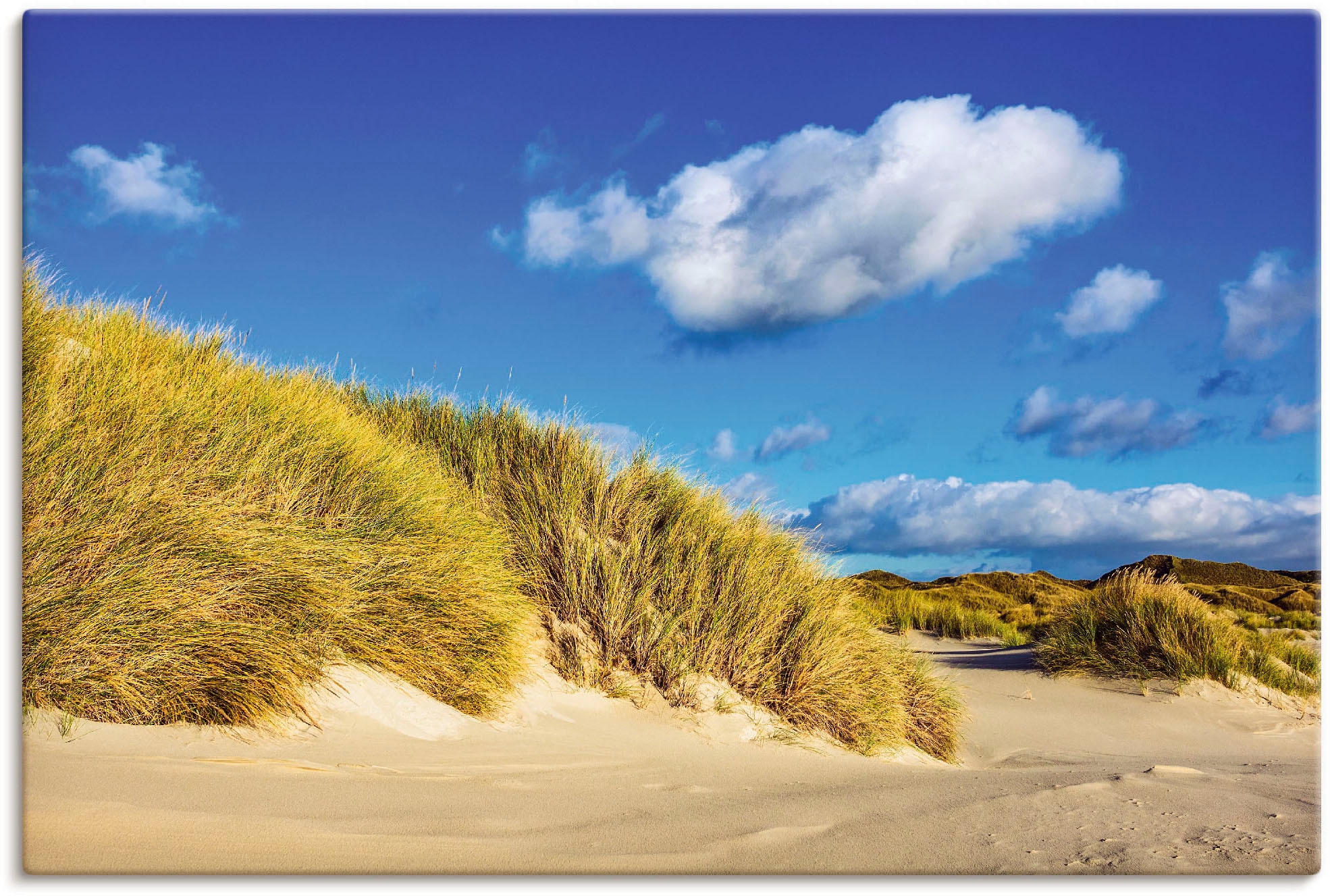 Artland Leinwandbild "Landschaft mit Dünen Insel Amrum", Strandbilder, (1 St.), auf Keilrahmen gespannt