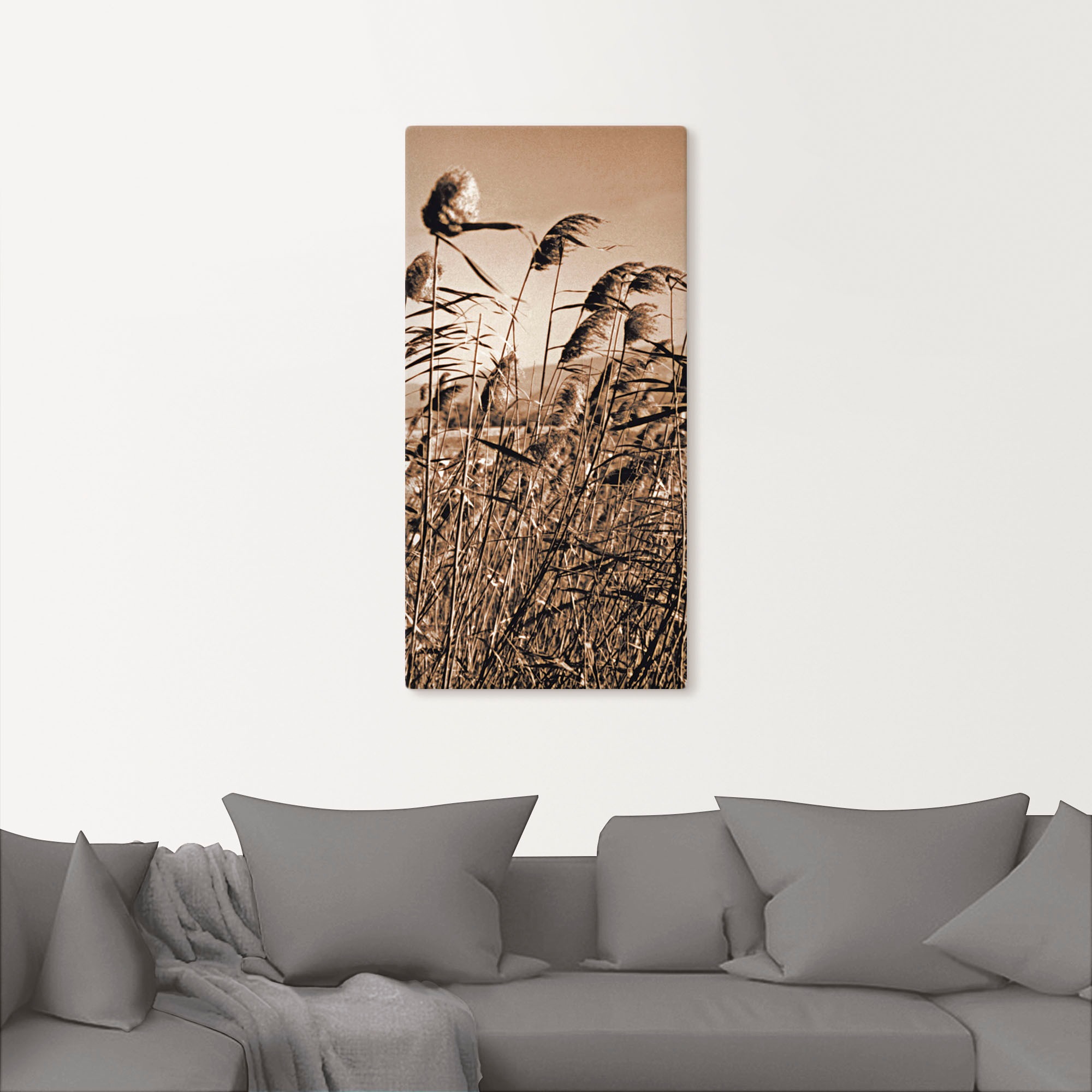 Artland Wandbild "Sepia Gräser II" Gräser 1 Stk. tlg. auf Holzrahmen gespan günstig online kaufen