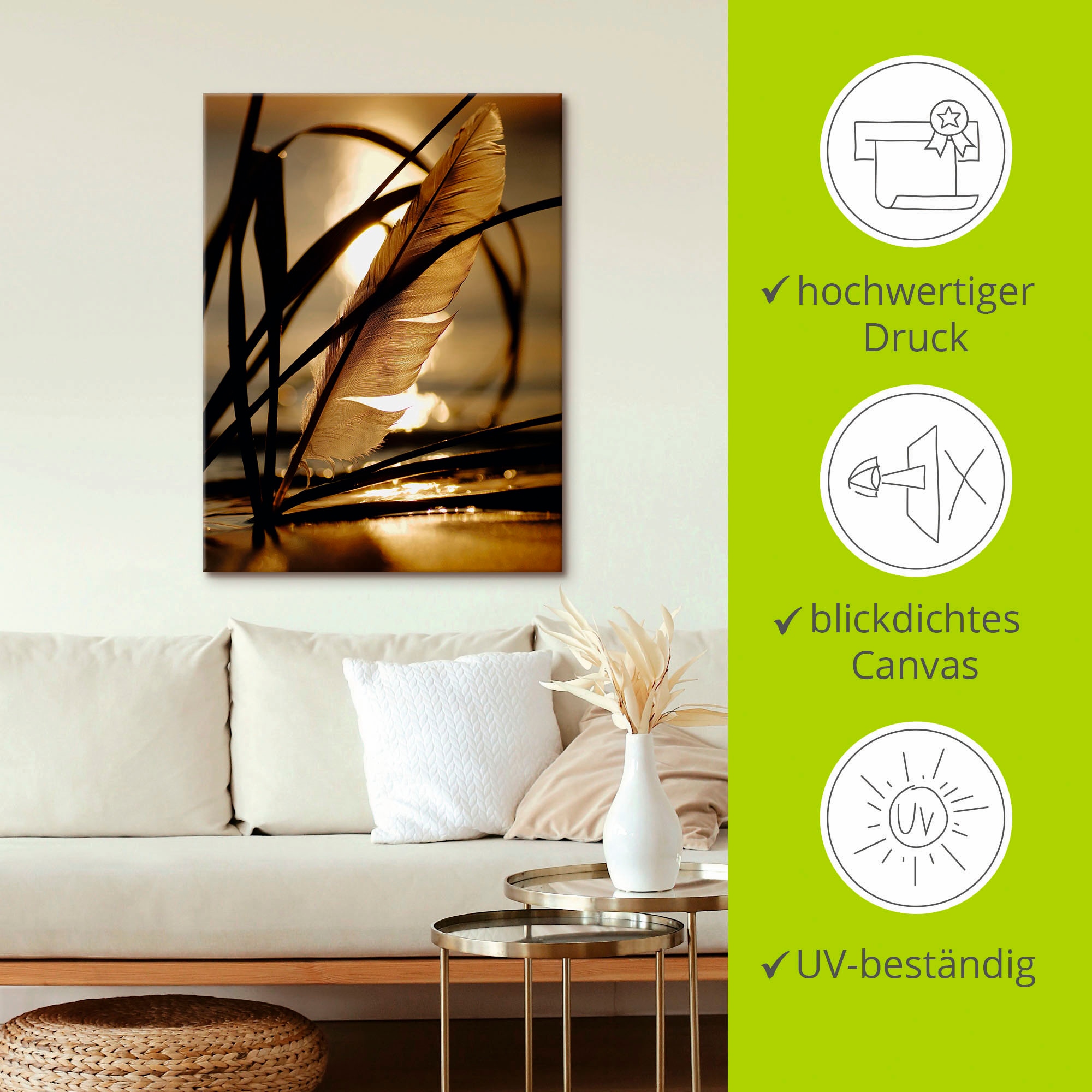 Artland Wandbild »Feder im Abendlicht«, Gräser, (1 St.), als Leinwandbild, Poster, Wandaufkleber in verschied. Größen