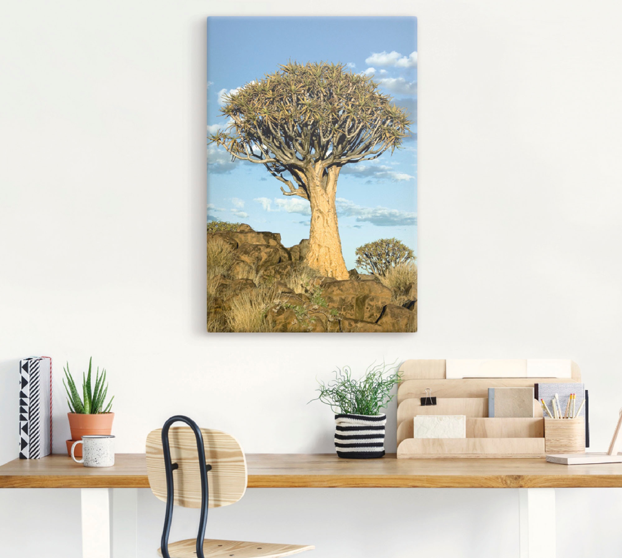 Artland Wandbild »Köcherbaum«, versch. kaufen (1 BAUR Wandaufkleber in St.), Alubild, Größen Leinwandbild, Poster als Bäume, oder 