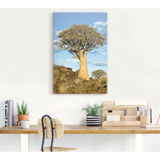 Artland Wandbild »Köcherbaum«, Bäume, (1 St.), als Alubild, Leinwandbild,  Wandaufkleber oder Poster in versch. Größen kaufen | BAUR