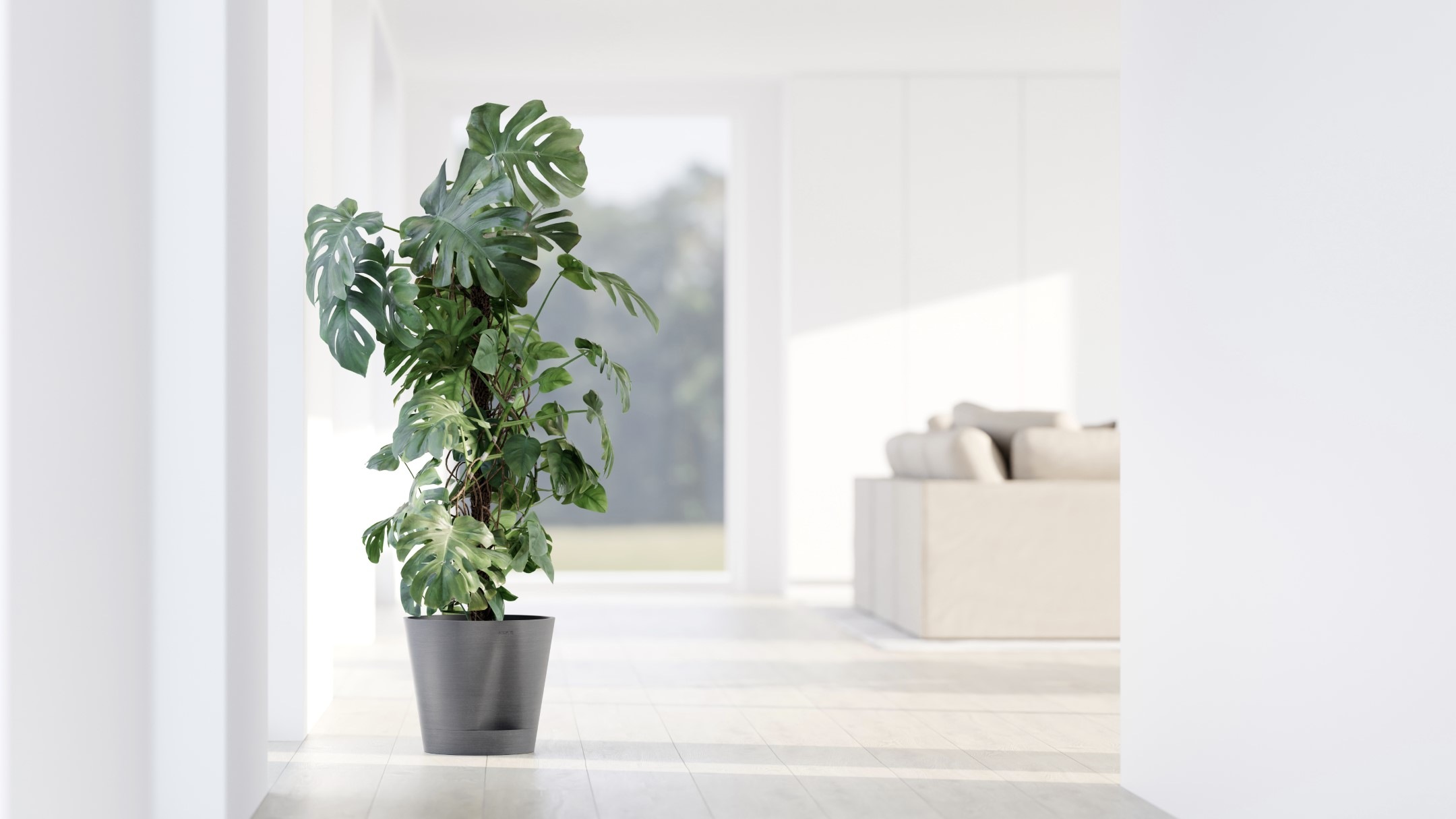 ECOPOTS Blumentopf »Venice 2 30 Grau« für den Innenbereich