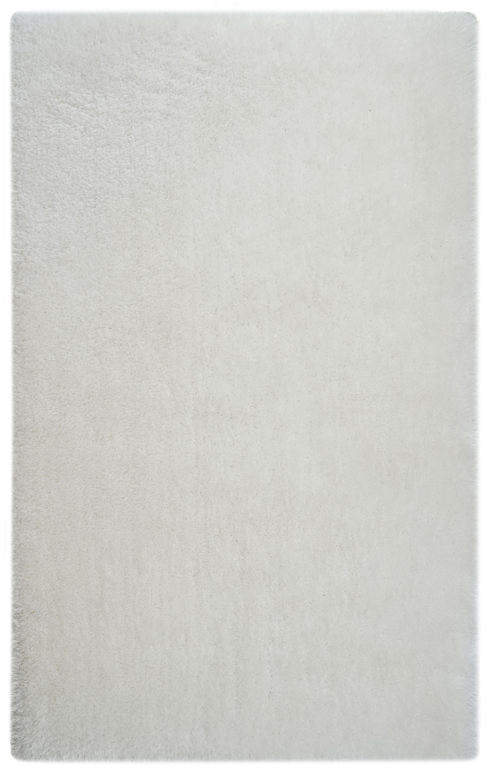 my home Hochflor-Teppich "Micro exclusiv Teppich, sehr hoher Flor, weich du günstig online kaufen