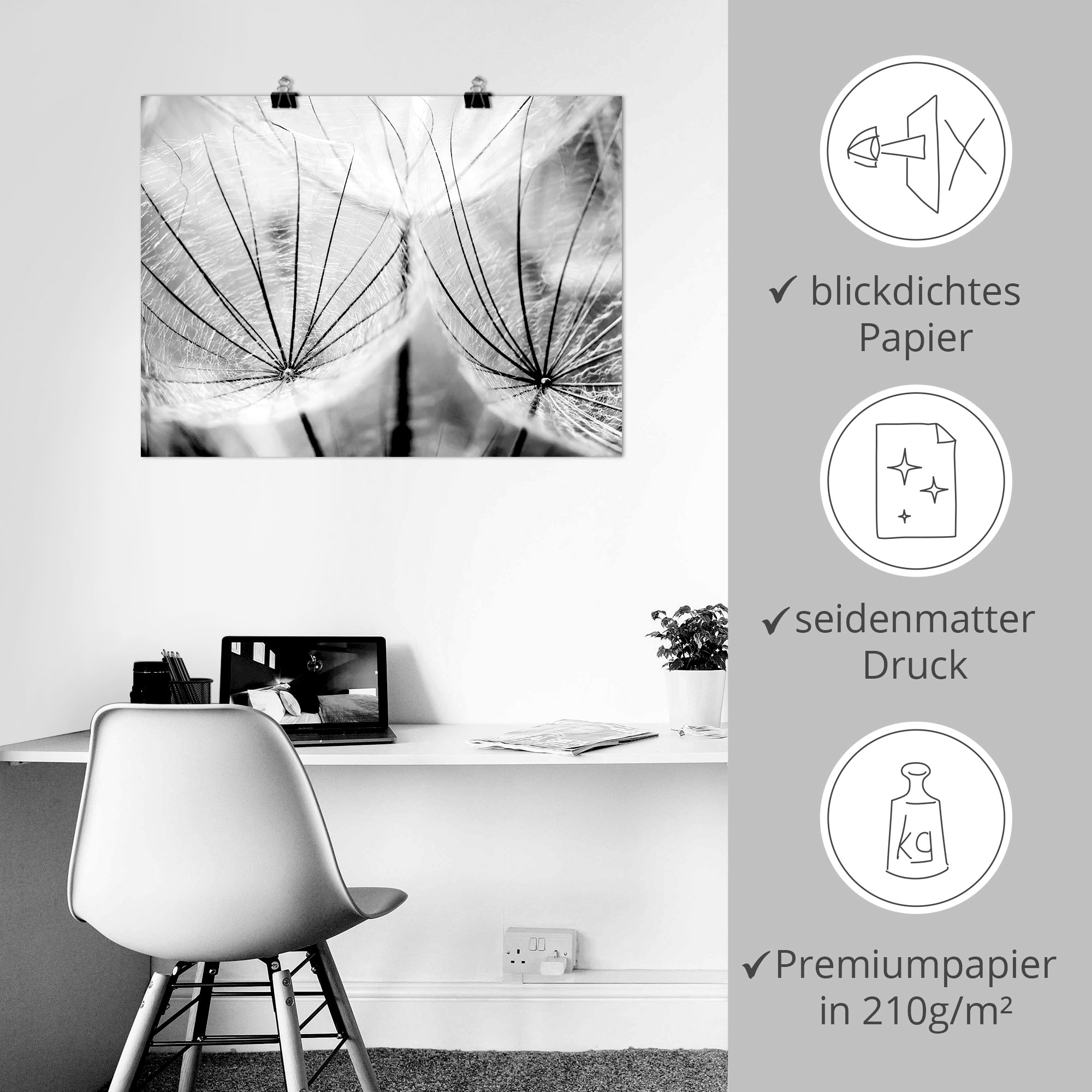 Artland Wandbild »Pusteblume in schwarzweiß« Blumen 1 Stk. tlg. als Leinwandbild, Poster in verschied. Größen