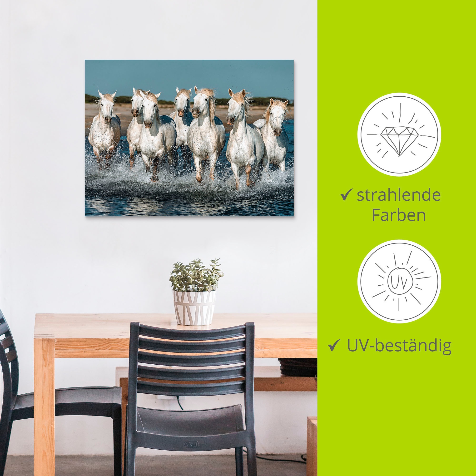 Artland Wandbild »Camargue Pferde galoppieren am Strand«, Haustiere, (1 St.), als Alubild, Outdoorbild, Leinwandbild, Poster, Wandaufkleber