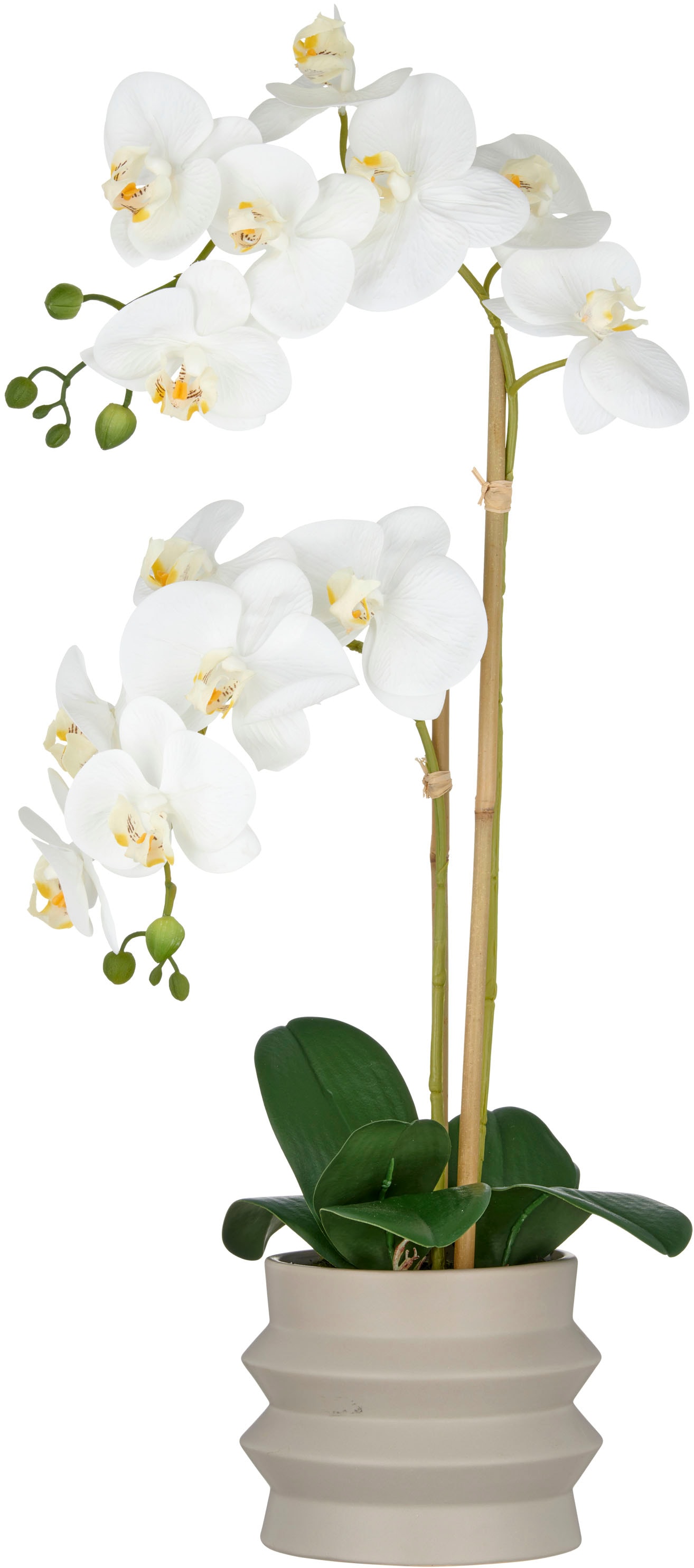 Creativ green Kunstorchidee "Orchidee Phalaenopsis", im Design-Topf günstig online kaufen